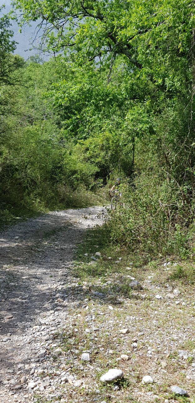 A narrow, winding gravel path surrounded by dense greenery and trees, leading into a shaded area with a cyclist partially visible in the distance. The scene conveys a serene outdoor setting, ideal for exploring nature. Bosque Encantado mountain bike trail.