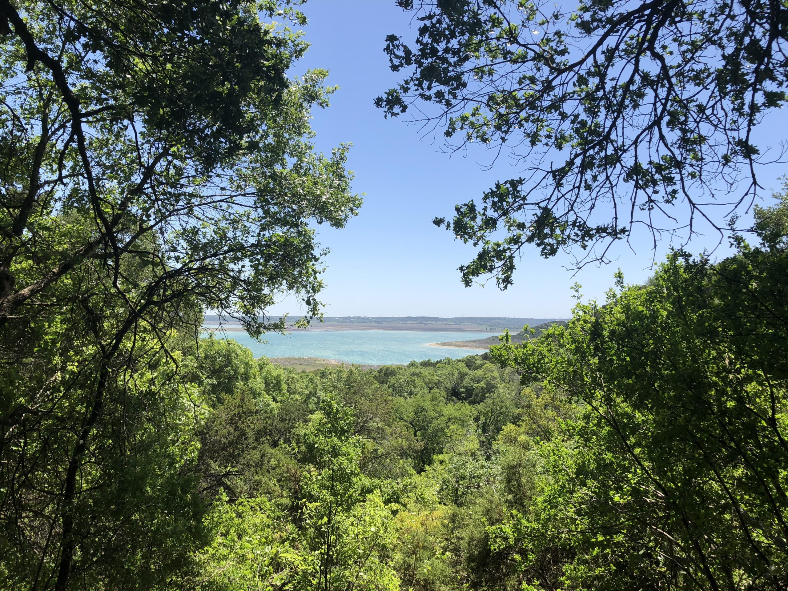 A scenic view of a blue lake surrounded by lush green trees under a clear blue sky, with a gentle slope visible in the background. Dana Peak mountain bike trail.