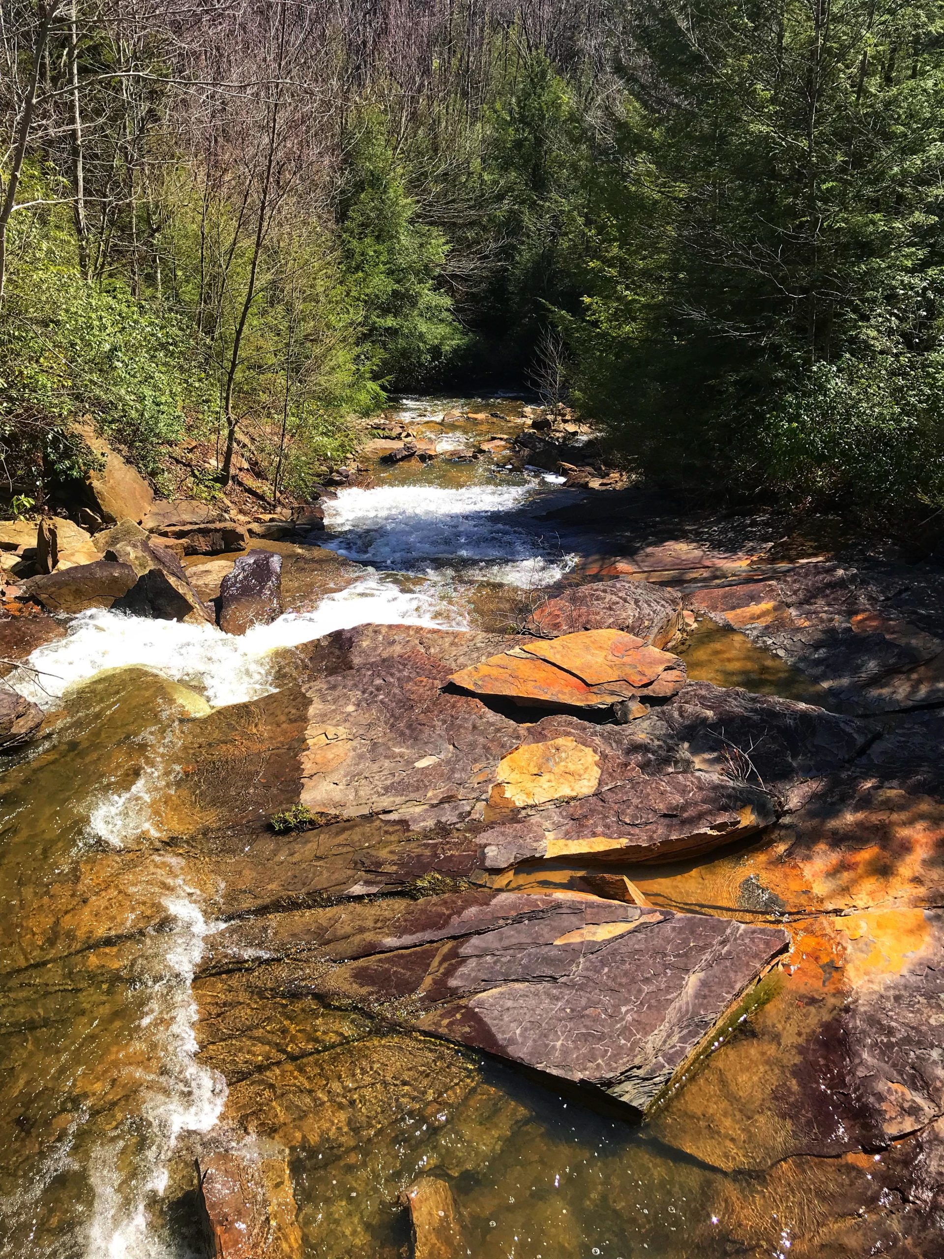 A tranquil stream with clear water flows over large, colorful rocks. The banks are lined with lush green vegetation and trees, creating a serene natural setting. Sunlight filters through the leaves, illuminating the water and highlighting the rocks. Black Water Falls State Park mountain bike trail.