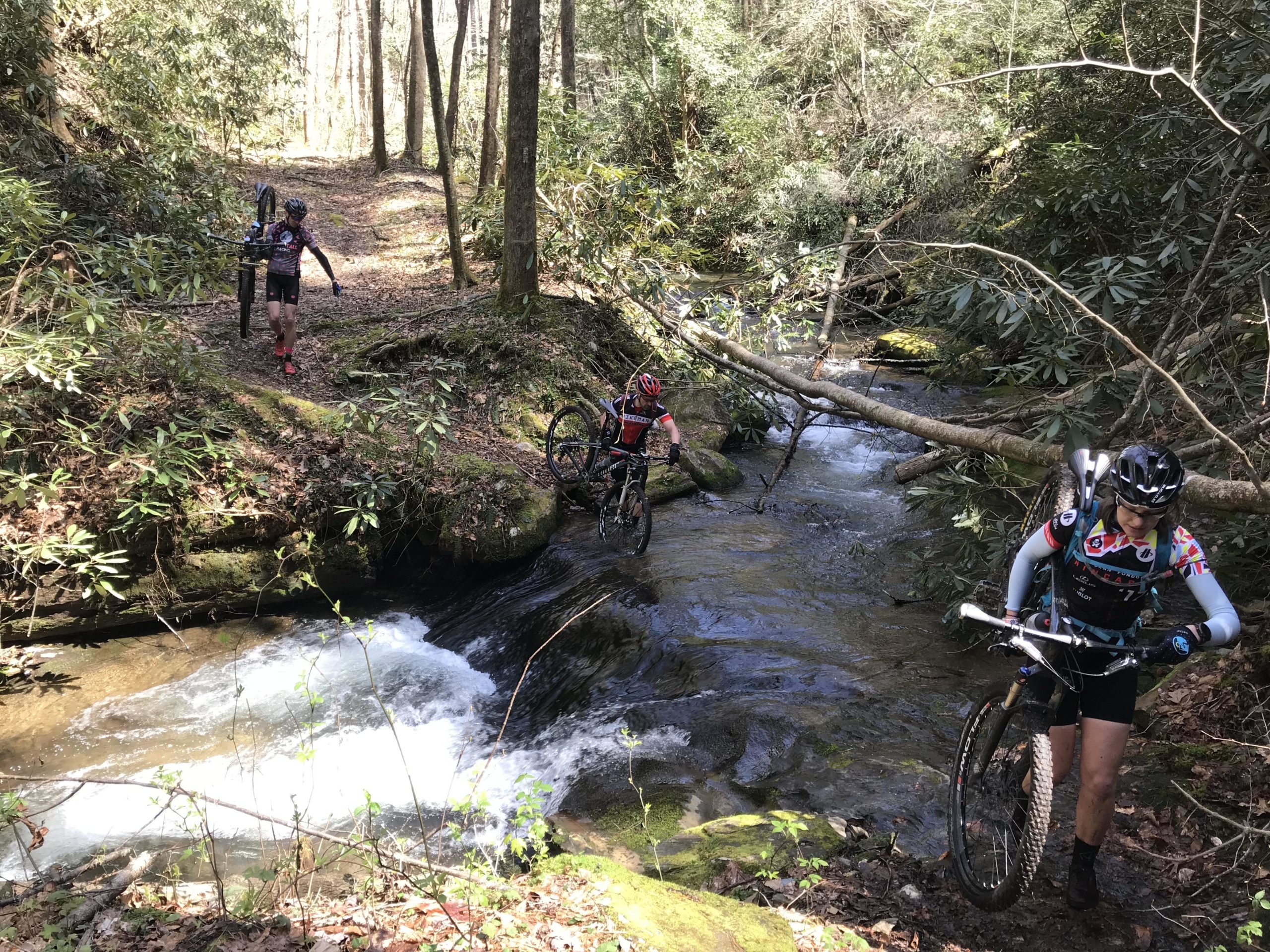 Three mountain bikers navigate a rocky path alongside a stream in a forested area, with trees and lush greenery surrounding them. One cyclist is walking with a bike over a rocky section, while the others are maneuvering around the water, showcasing an adventurous moment in nature. Pinhoti: Tatum Lead mountain bike trail.