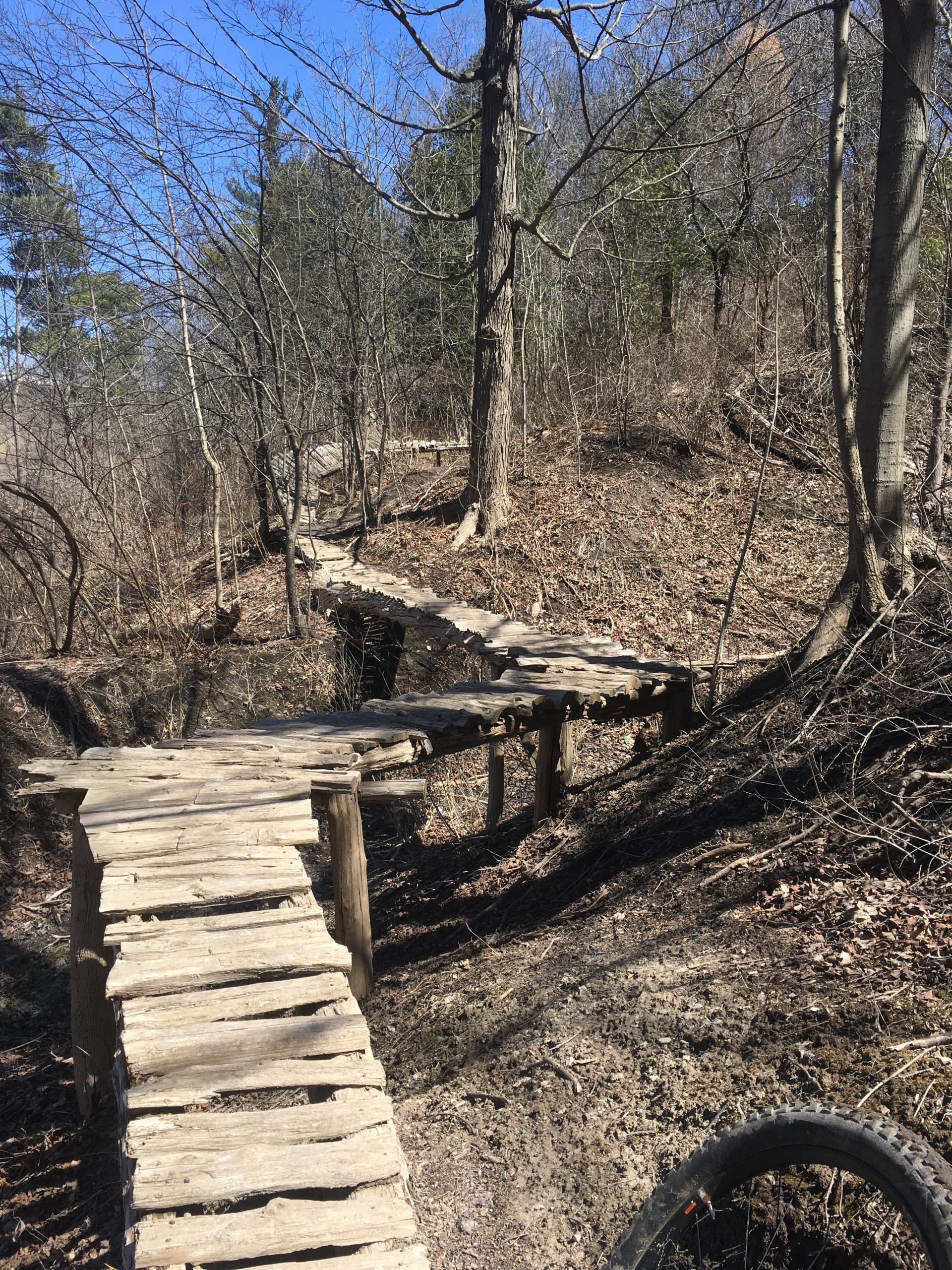 A narrow wooden bridge winding through a forested area, surrounded by bare trees and scattered leaves, under a clear blue sky. The path appears rustic and natural, showcasing a peaceful outdoor setting. In the foreground, part of a bicycle wheel is visible, suggesting this may be a trail for biking. Don Valley mountain bike trail.