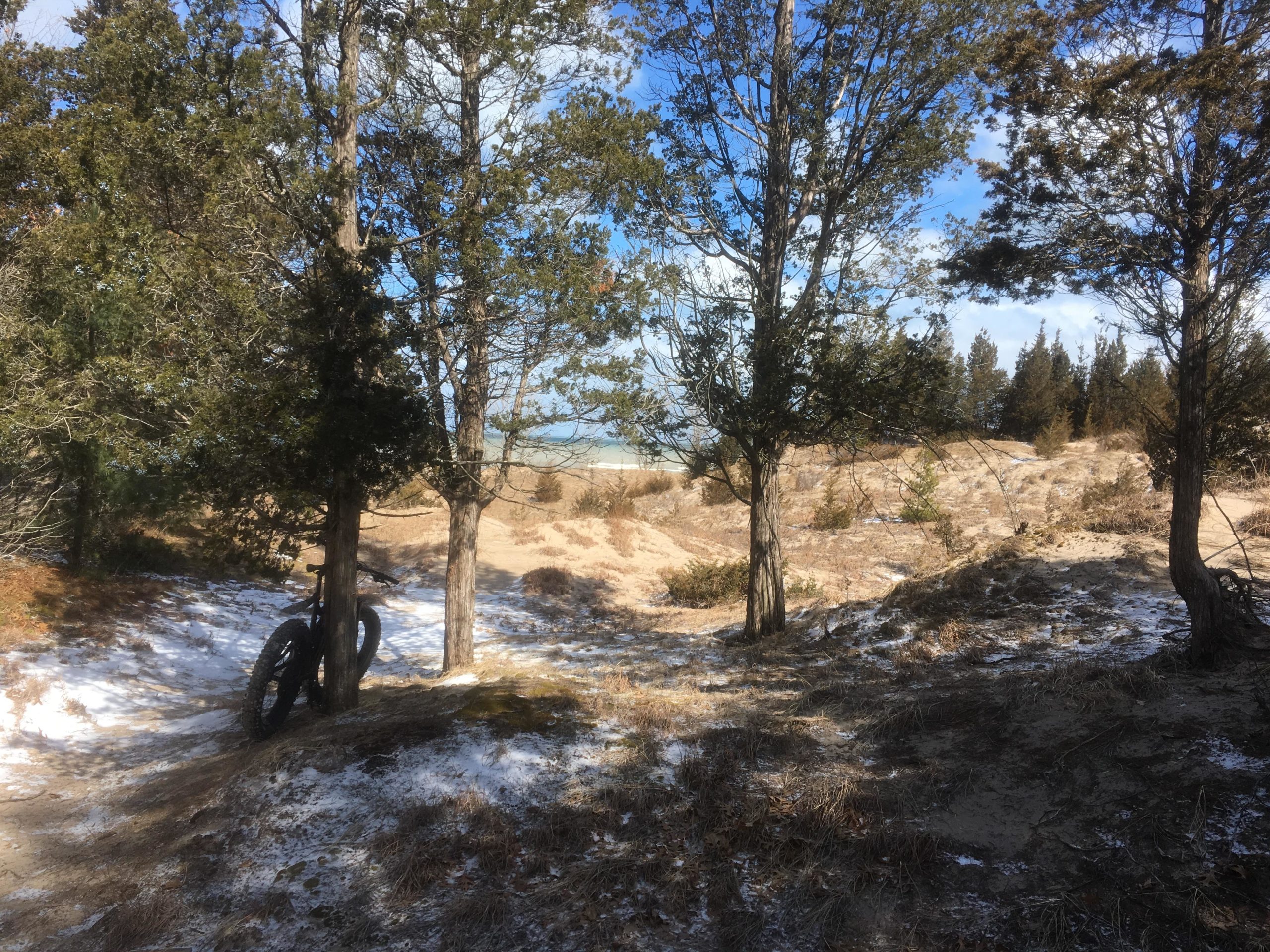 A scenic landscape featuring a grassy area with patches of snow, surrounded by tall trees. In the foreground, a fat tire bike leans against one of the trees. In the background, sandy dunes can be seen leading to a body of water under a partly cloudy blue sky. Pinery Provincial Park mountain bike trail.