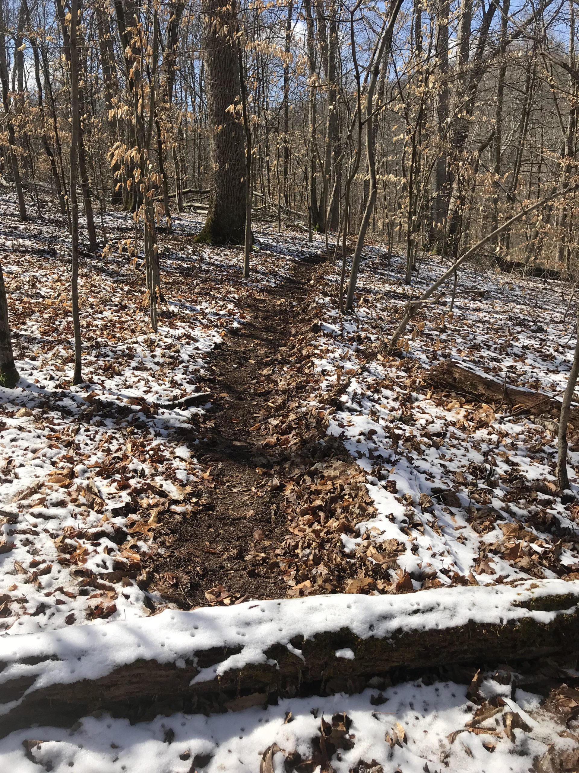 A wooded trail winding through a forest during late winter, lined with fallen leaves and patches of snow on the ground. Sunlight filters through the bare trees, highlighting the earthy path that leads deeper into the woods. The Ridge mountain bike trail.