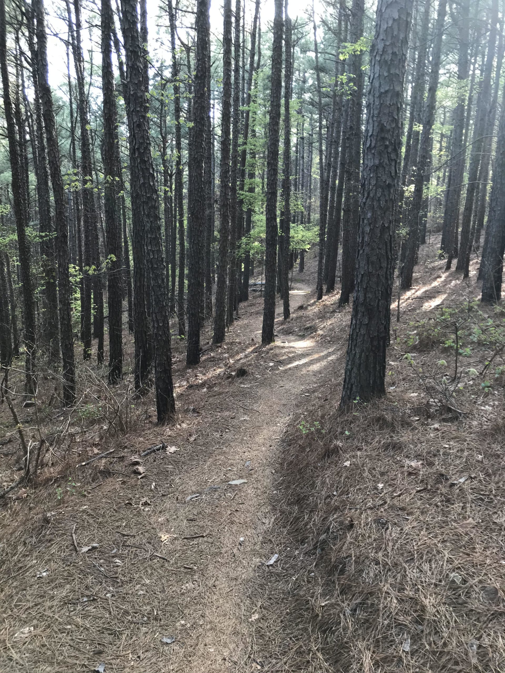 Trail Glades Gun Range - ijv9y9f