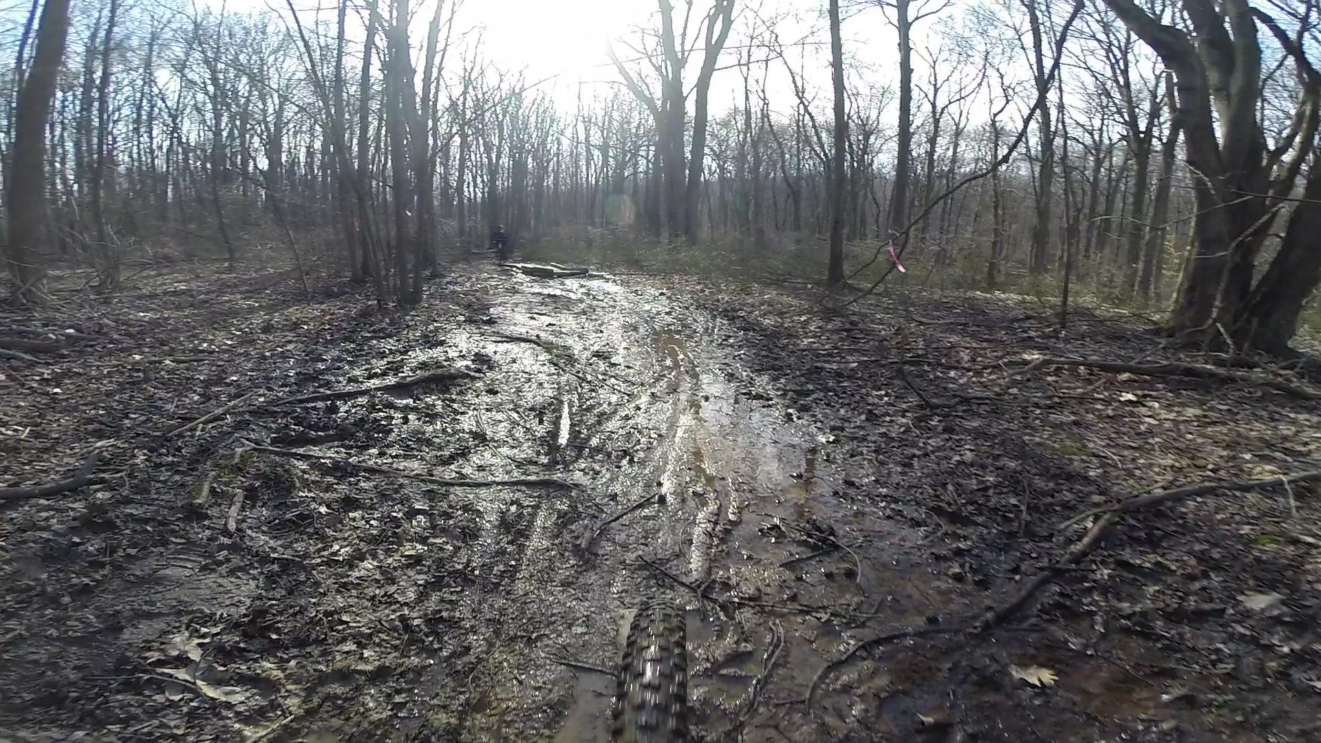 A muddy trail winding through a wooded area, with tree branches and leaves scattered along the path. The sun is shining through the trees, creating a bright atmosphere despite the muddy conditions. Richmond Avenue and Forest Hill road mountain bike trail.