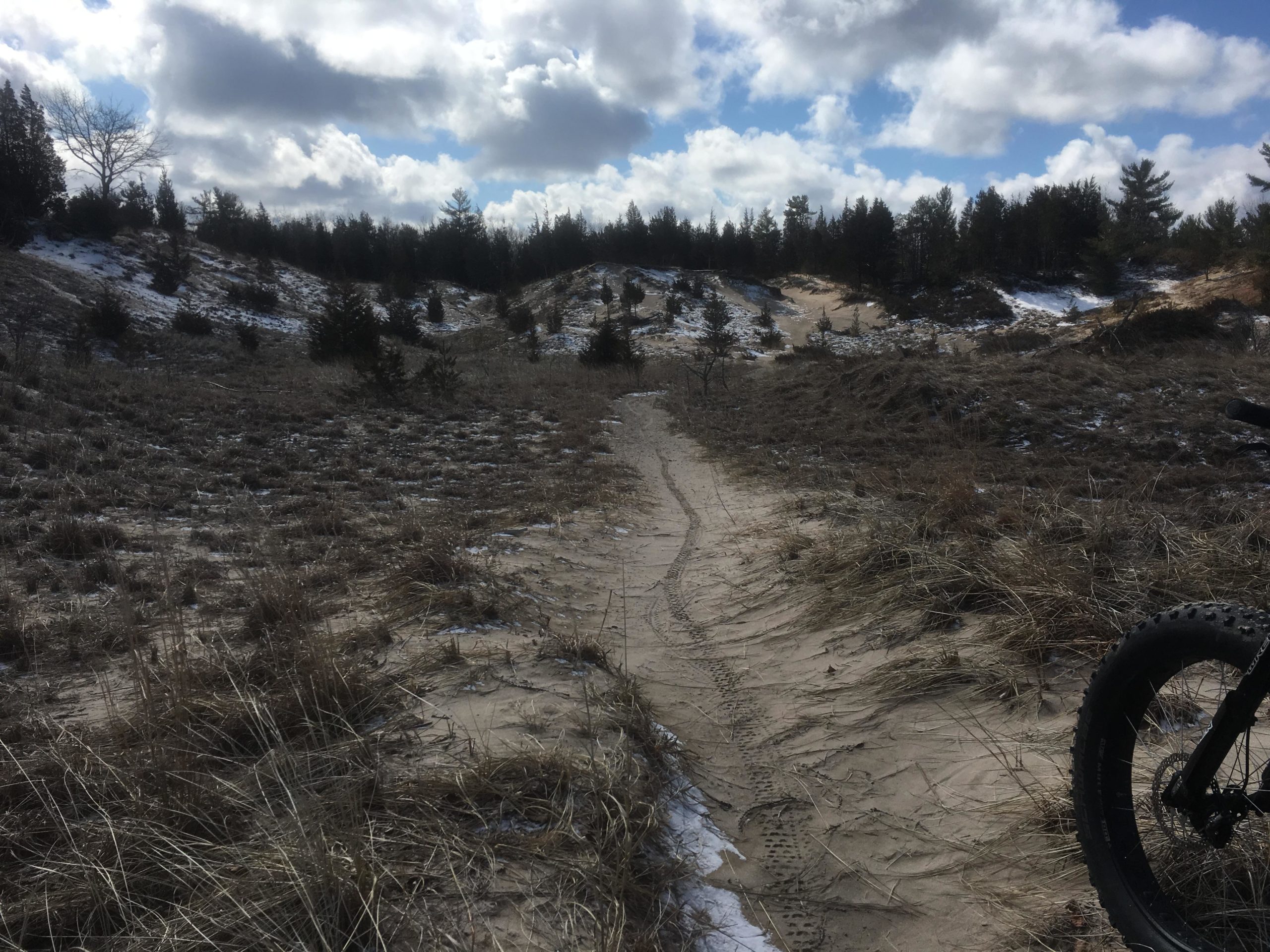 A sandy trail winding through grassy dunes and sparse trees under a partly cloudy sky. Tire tracks are visible in the sand, suggesting outdoor activity. Pinery Provincial Park mountain bike trail.