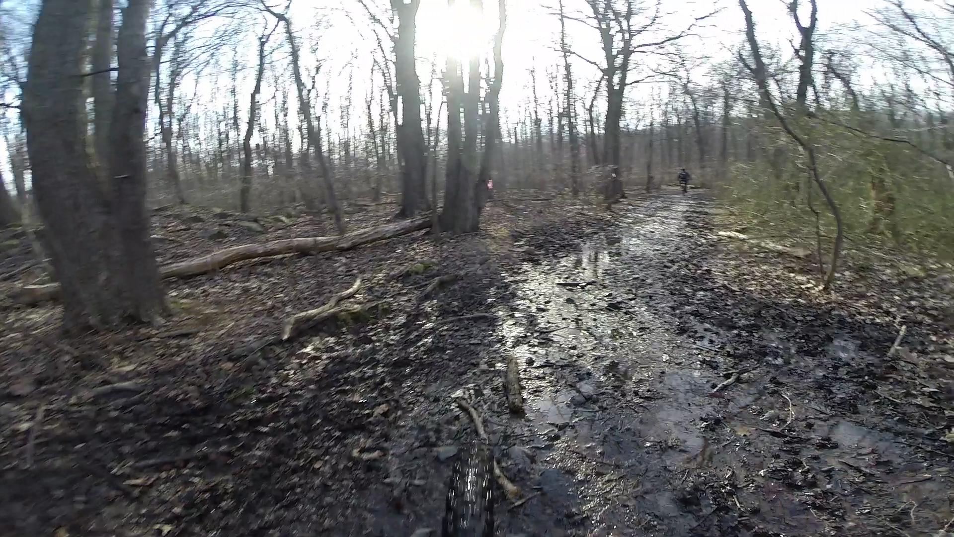 A muddy path through a forest with leafless trees, illuminated by sunlight filtering through the branches. There are puddles on the ground and a cyclist visible in the distance. Richmond Avenue and Forest Hill road mountain bike trail.