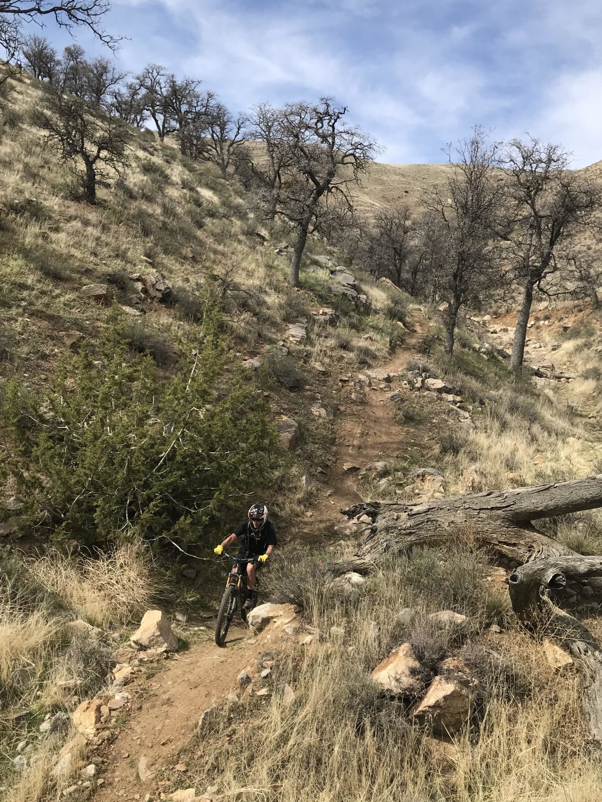 A mountain biker navigating a rocky trail on a hillside, surrounded by dry grass and scattered trees. The sky is partially cloudy, and the terrain appears rugged and natural. TMTA Lehigh trails mountain bike trail.