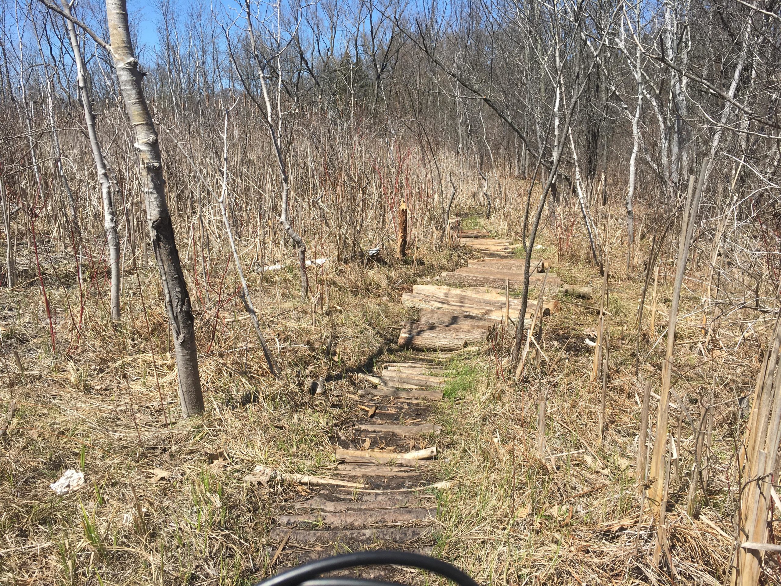 A narrow, rustic wooden pathway surrounded by sparse trees and dry grass, leading through a sunny clearing in a natural setting. Bright blue sky visible in the background. Warden Woods mountain bike trail.