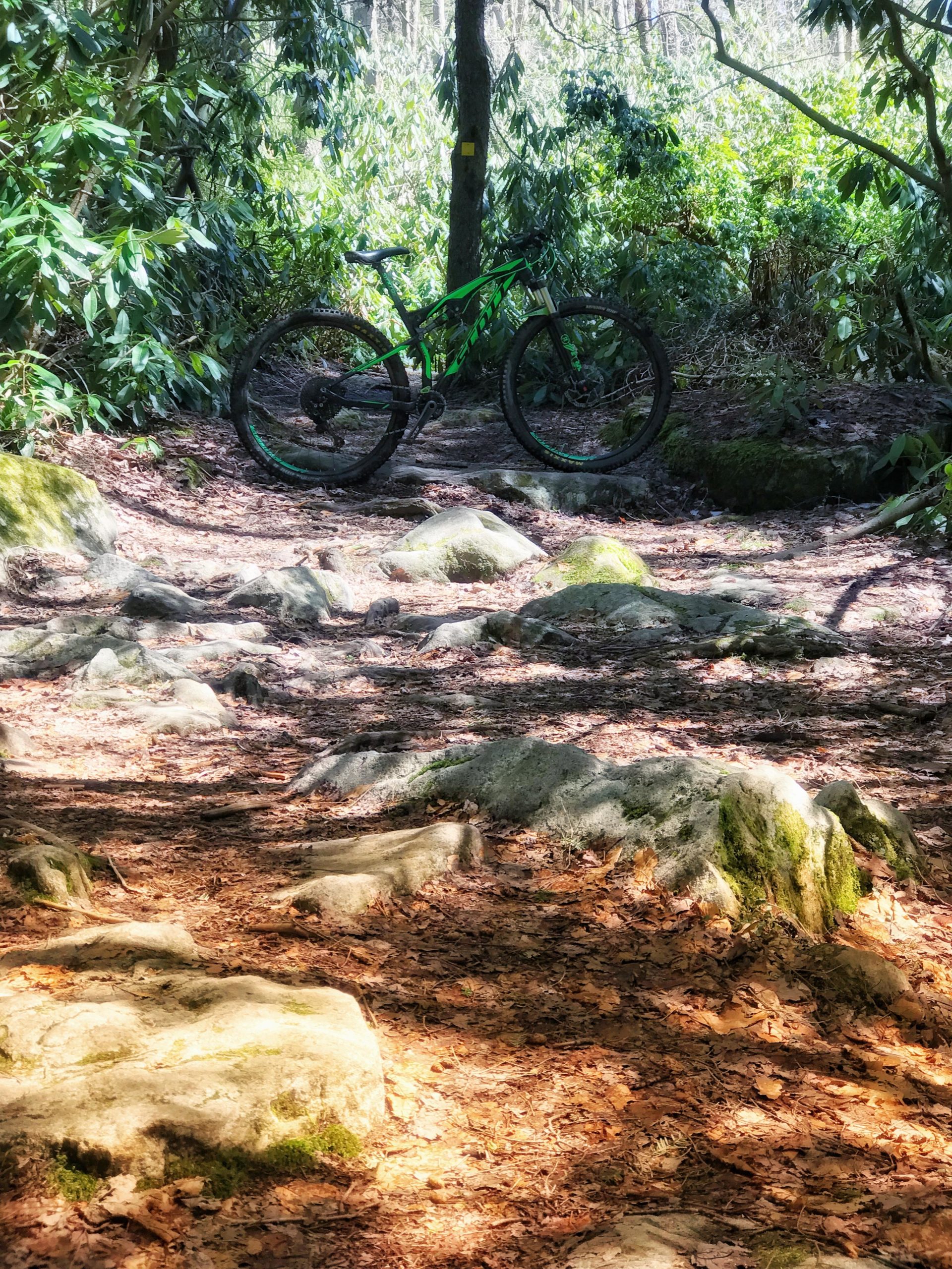 A green mountain bike is positioned on a rocky trail surrounded by lush greenery and trees, with patches of sunlight filtering through the leaves. The ground is covered in fallen leaves, and large rocks are scattered along the path. Black Water Falls State Park mountain bike trail.