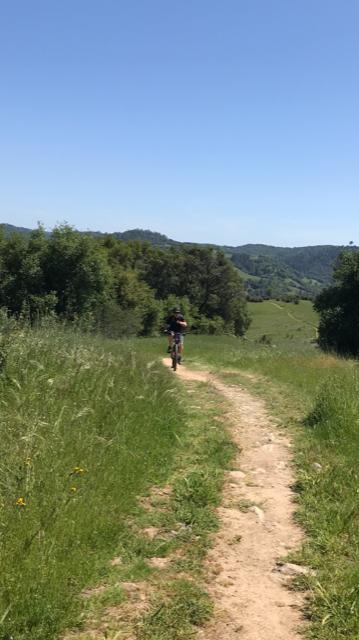 A person riding a bicycle along a dirt path through a green, grassy landscape with trees and rolling hills under a clear blue sky. Cronan Ranch mountain bike trail.