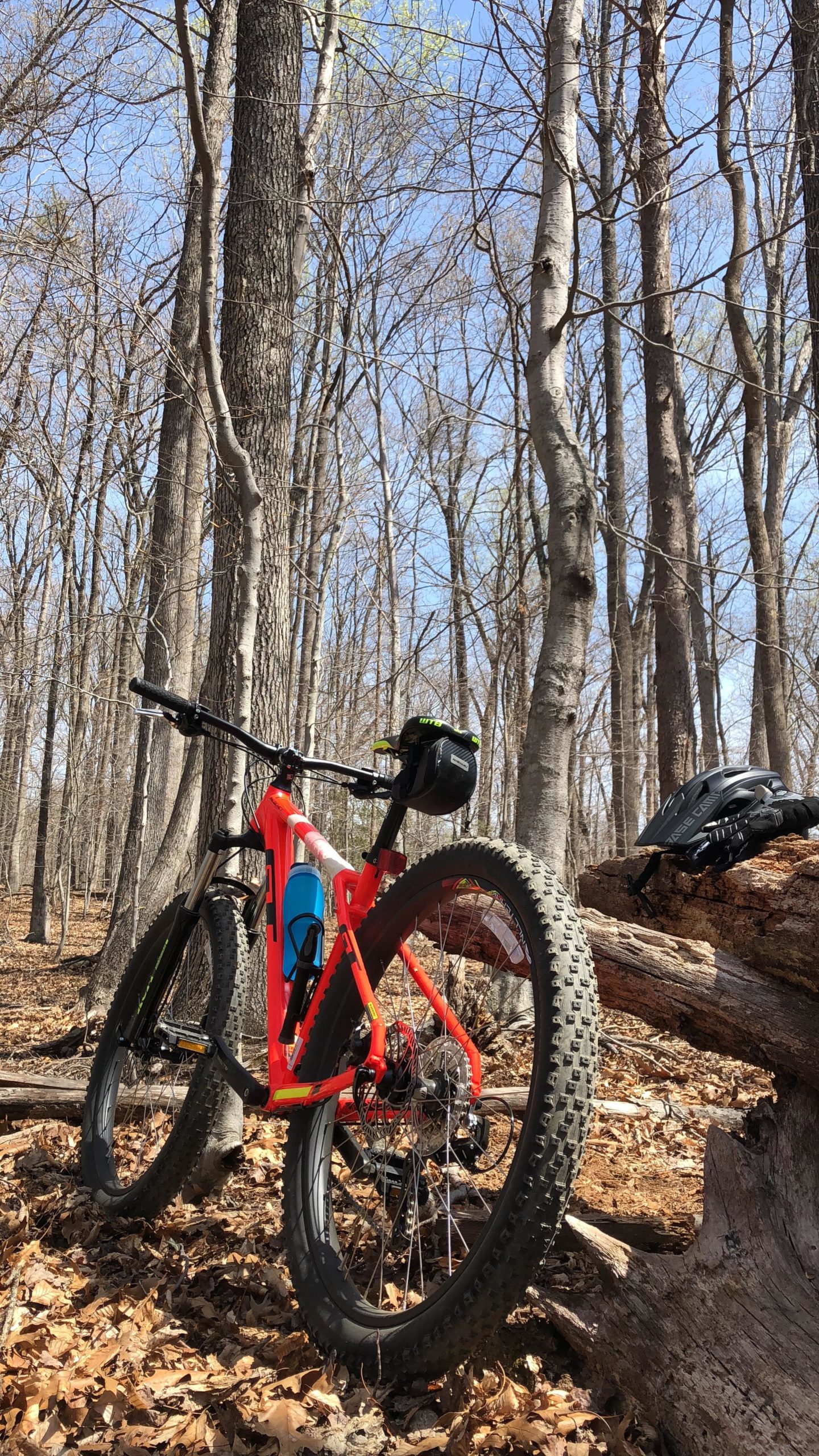 A bright red mountain bike leaning against a fallen log in a wooded area, surrounded by tall, bare trees and a clear blue sky. A black helmet lies on the ground nearby, with fallen leaves covering the forest floor. Fountainhead Regional Park mountain bike trail.