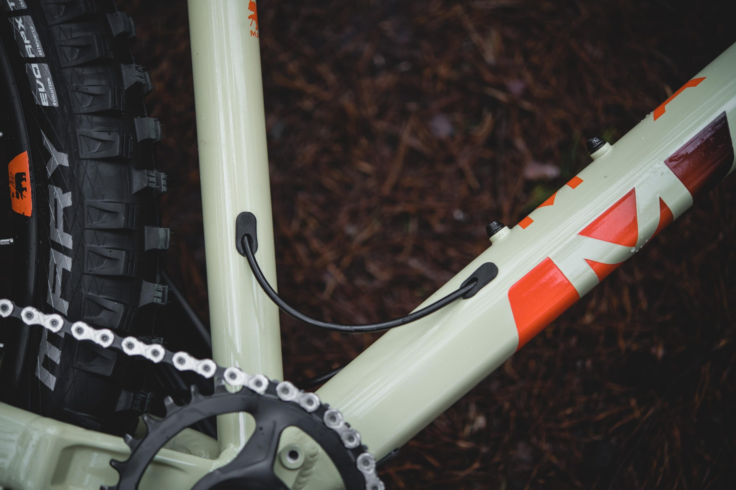 Marin San Quentin Trail: A close-up view of a bicycle frame featuring a light green color, showcasing a section of the bike's chain, gear, and tire. The image highlights a black cable routed along the frame with rubber guides, as well as an orange design element on the frame. The background consists of dark brown pine needles, indicating an outdoor setting.