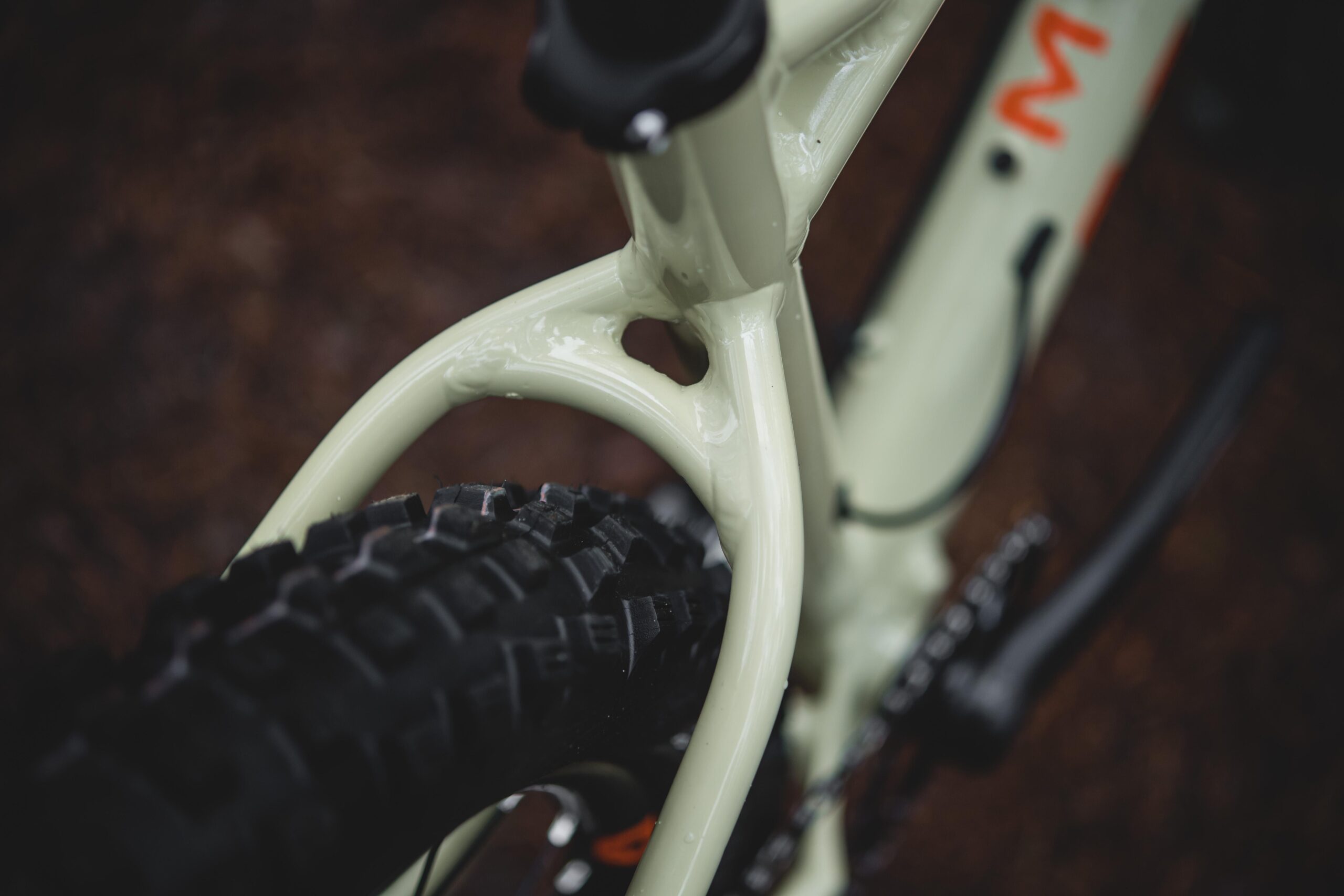 Marin San Quentin Trail: Close-up shot of a bicycle frame, showcasing the unique design and contours of the light green frame and the textured black tire. The background is blurred, emphasizing the bike’s details.