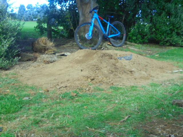 Cube AIM SL 29: A blue mountain bike positioned on top of a small dirt jump or mound, surrounded by grass and shrubbery. The scene is set in a natural outdoor environment with trees in the background.