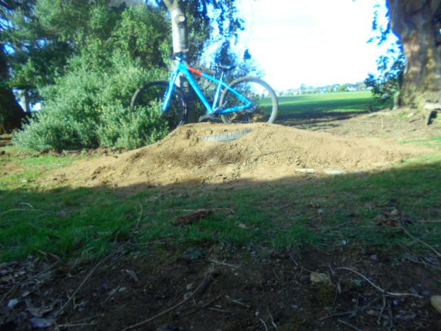 Cube AIM SL 29: A blue mountain bike is parked next to a dirt jump ramp, surrounded by trees and grass in a park setting. The ramp is a small mound of dirt, indicating a popular spot for biking activities. In the background, there are open fields under a clear sky.