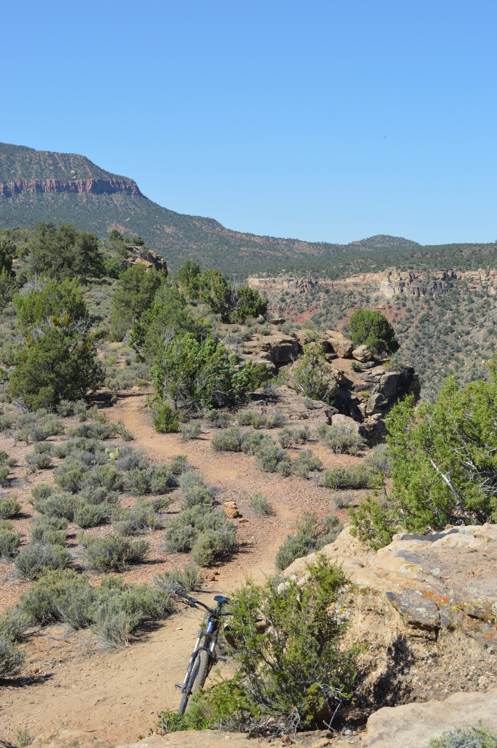 A rugged mountain landscape featuring a dirt bike path winding through sparse vegetation, with a bicycle leaning against a rocky outcrop. The scene is set under a clear blue sky, showcasing distant mountains and a variety of green shrubs. Wire Mesa Loop mountain bike trail.