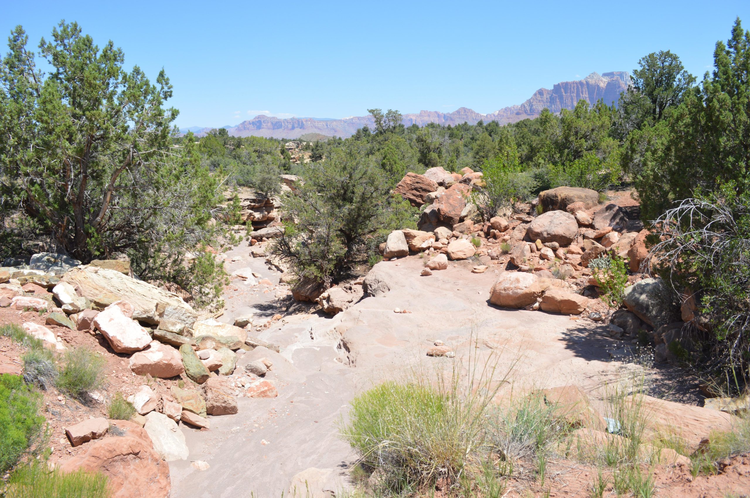 A rocky landscape featuring scattered boulders and shrubs, with a dry riverbed visible in the foreground and distant mountains under a clear blue sky. Wire Mesa Loop mountain bike trail.