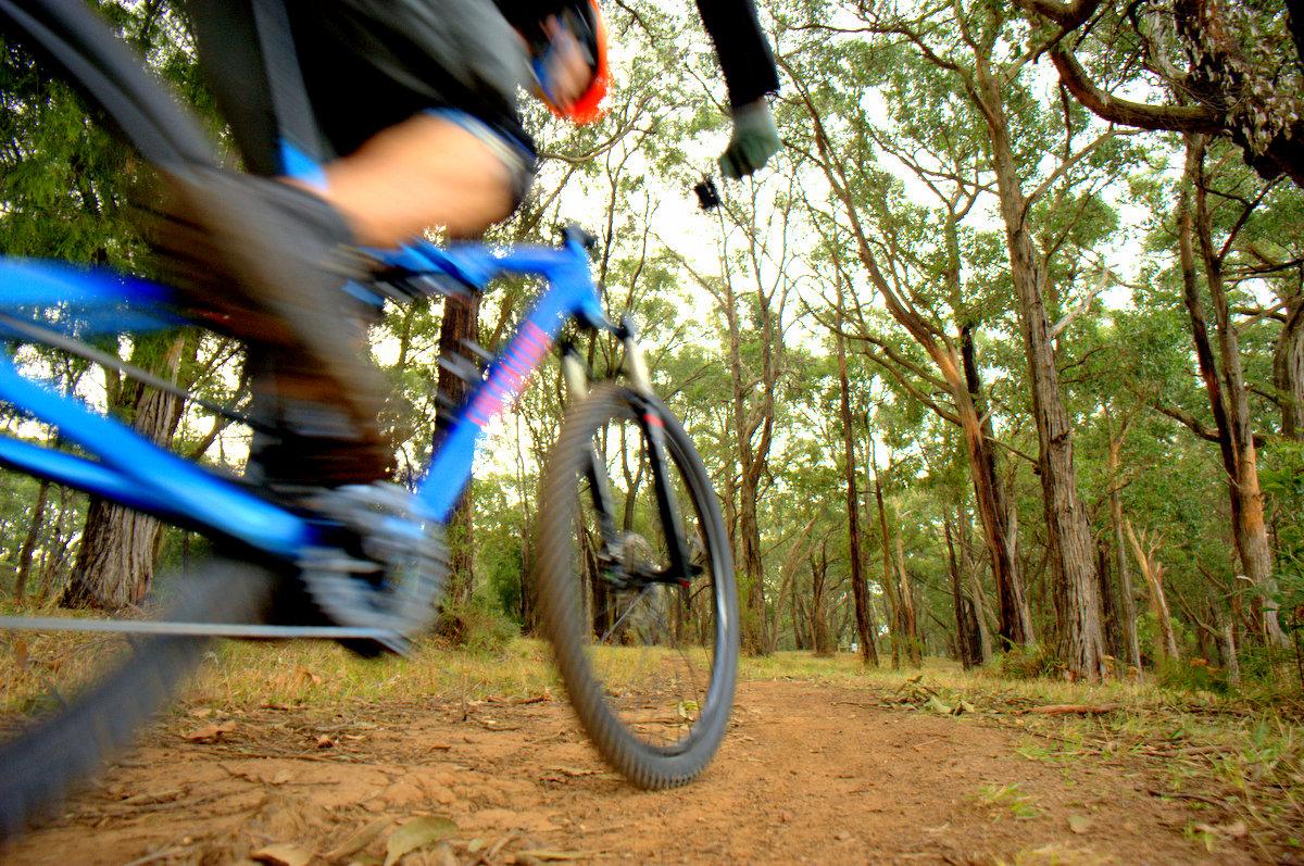 A close-up shot of a blue mountain bike riding along a dirt trail in a forested area, with trees in the background. The motion blur suggests speed as the bike's wheels are in motion. Arthurs Seat MTB Park mountain bike trail.