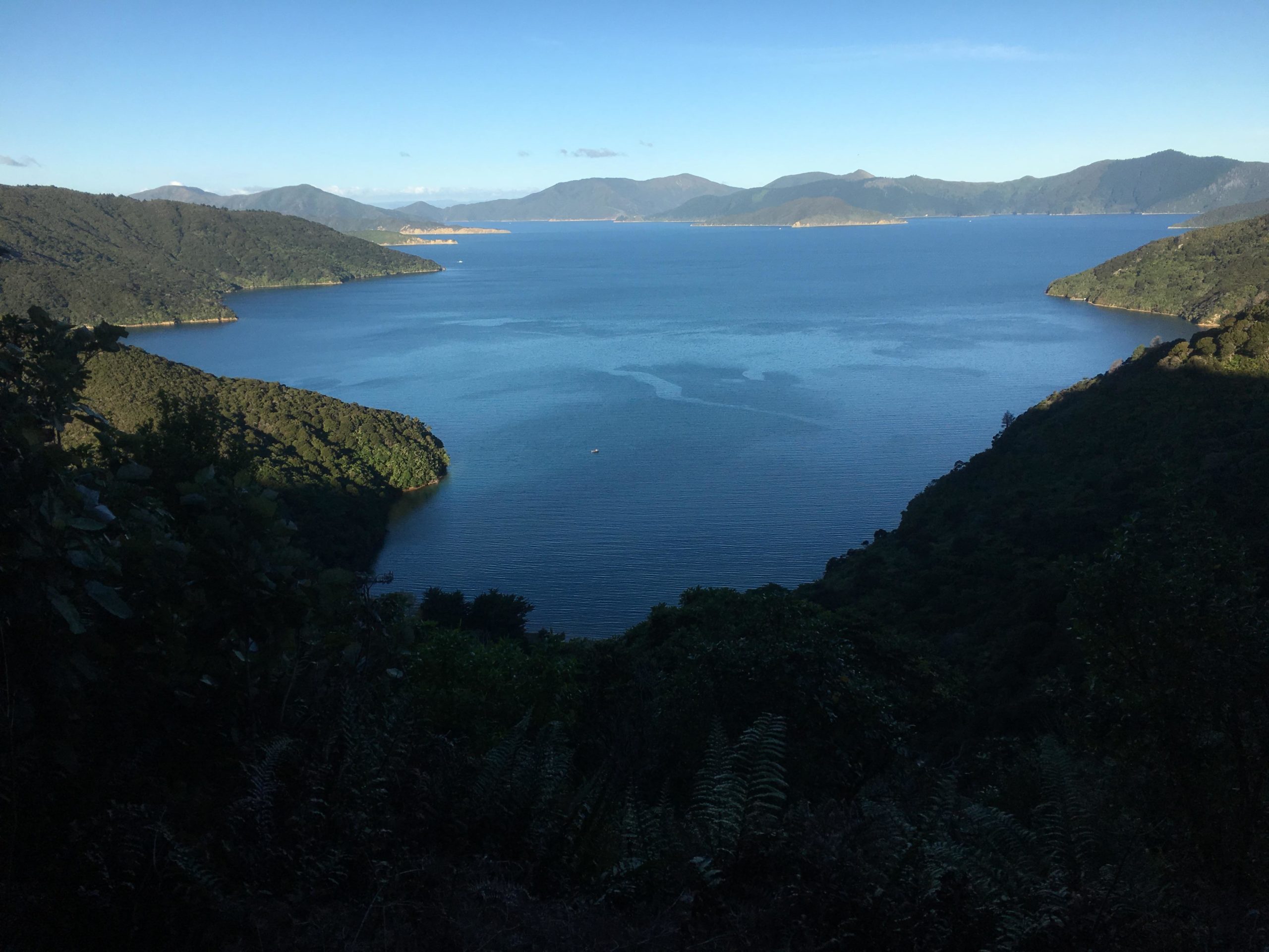 A scenic view of a tranquil bay surrounded by lush green hills and distant mountains under a clear blue sky. The calm water reflects the landscape, creating a serene atmosphere. Queen Charlotte Track mountain bike trail.