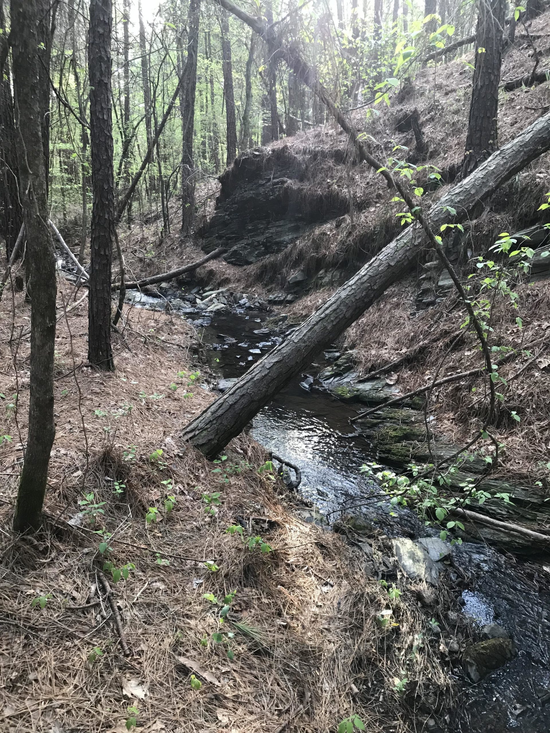 Trail Glades Gun Range - oijp6c2