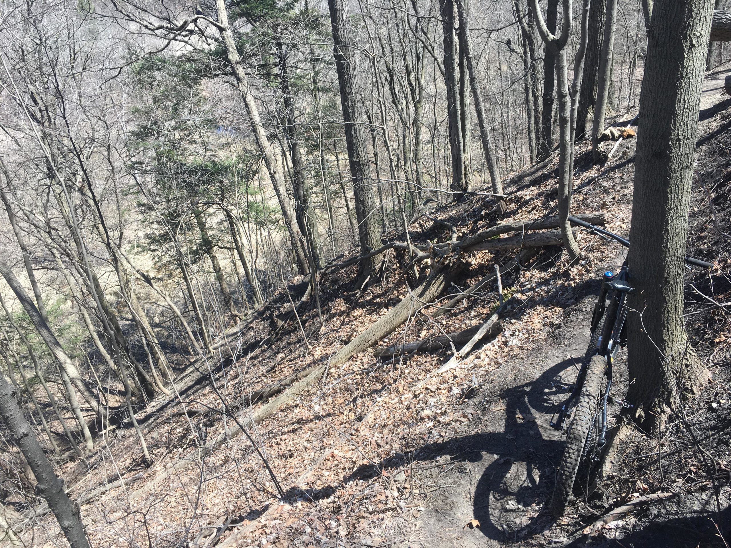 A mountain bike leaning against a tree on a wooded trail, with leaf-covered ground and bare trees in the background. The trail slopes downwards, leading into a forested area. Don Valley mountain bike trail.