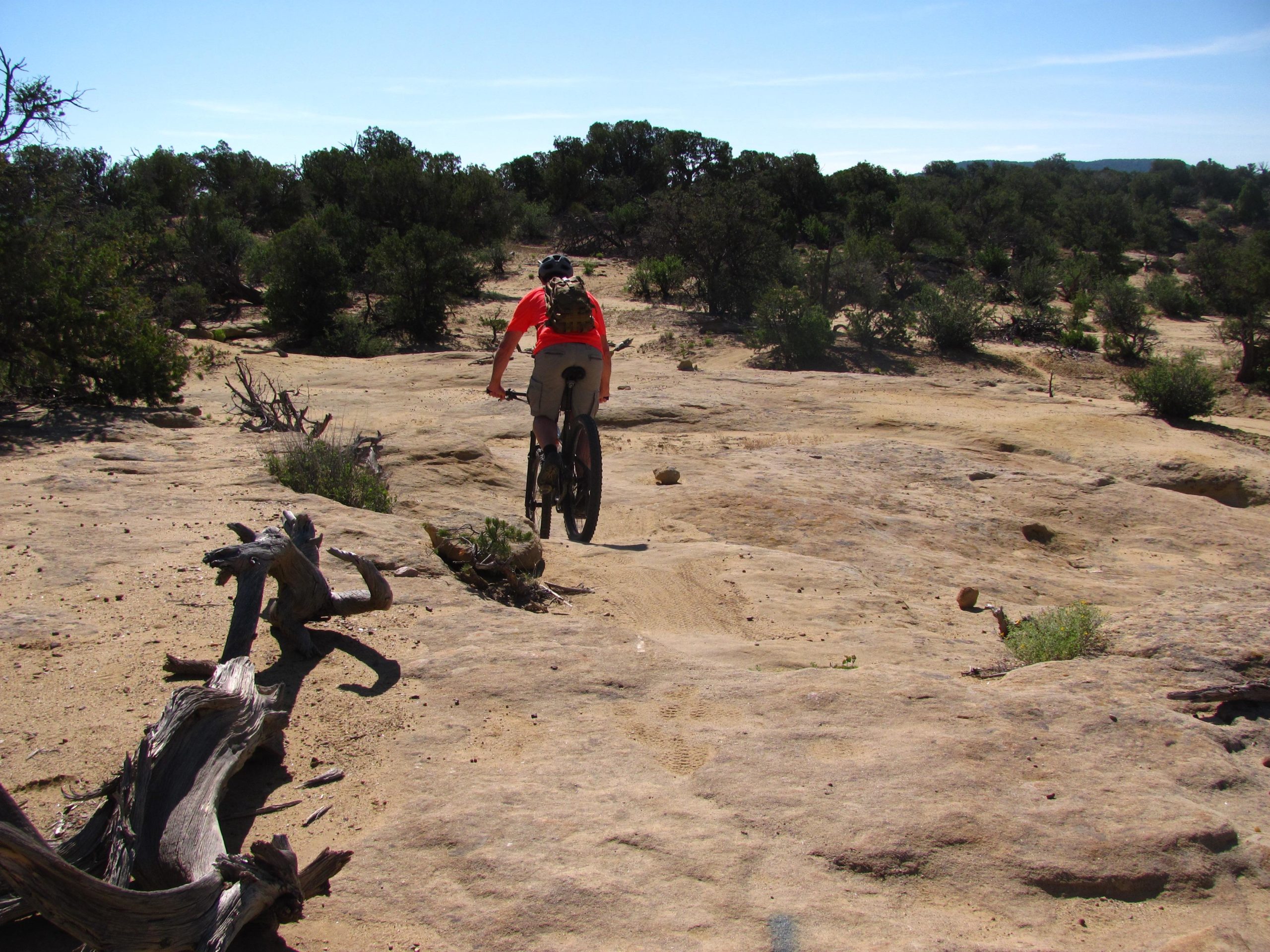 A mountain biker rides on a rocky trail through a desert landscape, surrounded by sparse vegetation and low bushes under a clear blue sky. Alien Run Trail mountain bike trail.