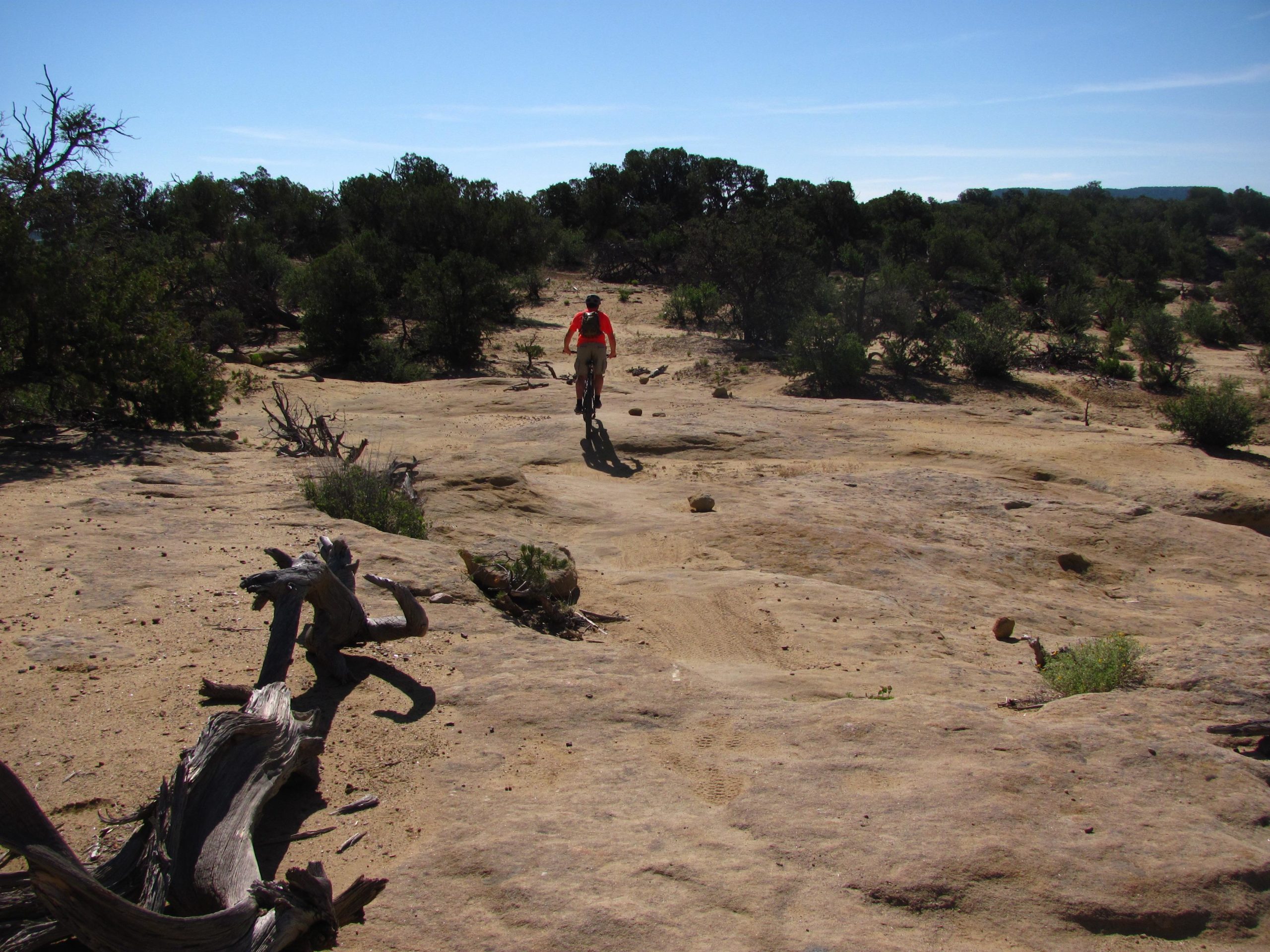 A mountain biker riding on a rocky trail surrounded by sparse vegetation and shrubs under a clear blue sky. Alien Run Trail mountain bike trail.