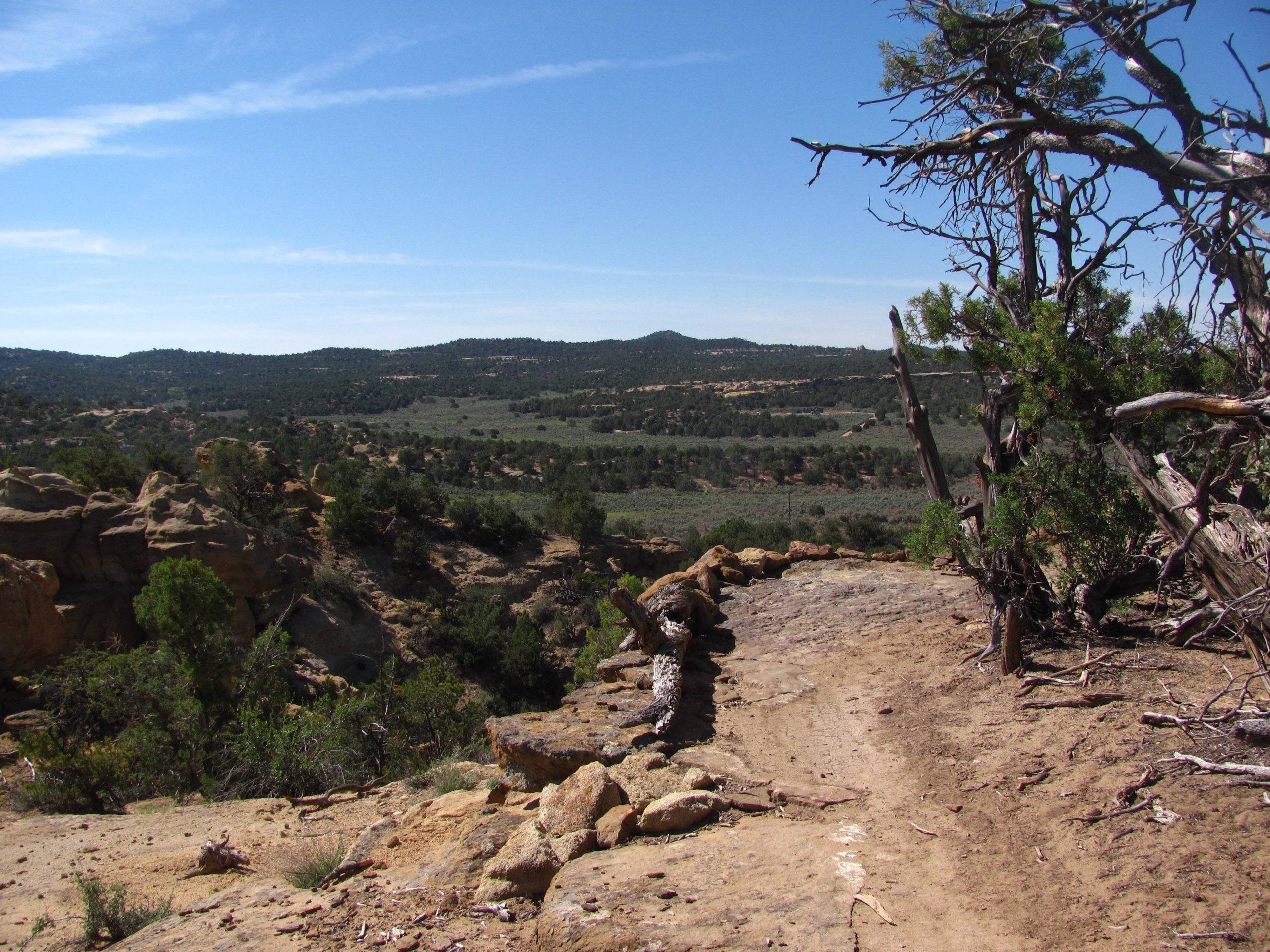 A rocky landscape featuring a dirt path leading into the distance, surrounded by scattered trees and shrubs. The scene is under a clear blue sky, with rolling hills and greenery visible in the background. Alien Run Trail mountain bike trail.