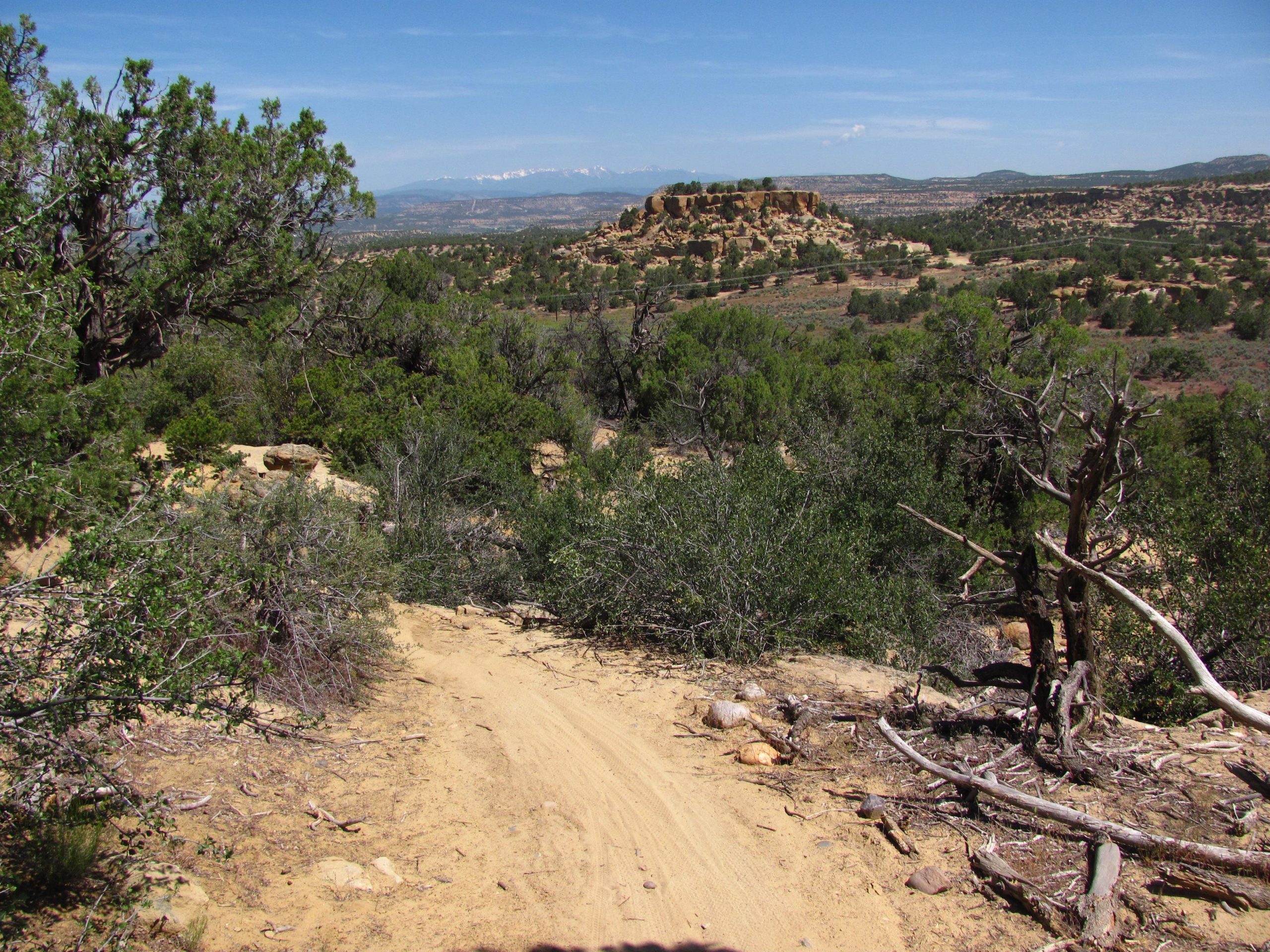 A panoramic view of a rugged landscape featuring a dirt path winding through lush green vegetation, with scattered rocks and fallen branches. In the background, distant mountains are visible beneath a clear blue sky, creating a serene outdoor scene. Alien Run Trail mountain bike trail.