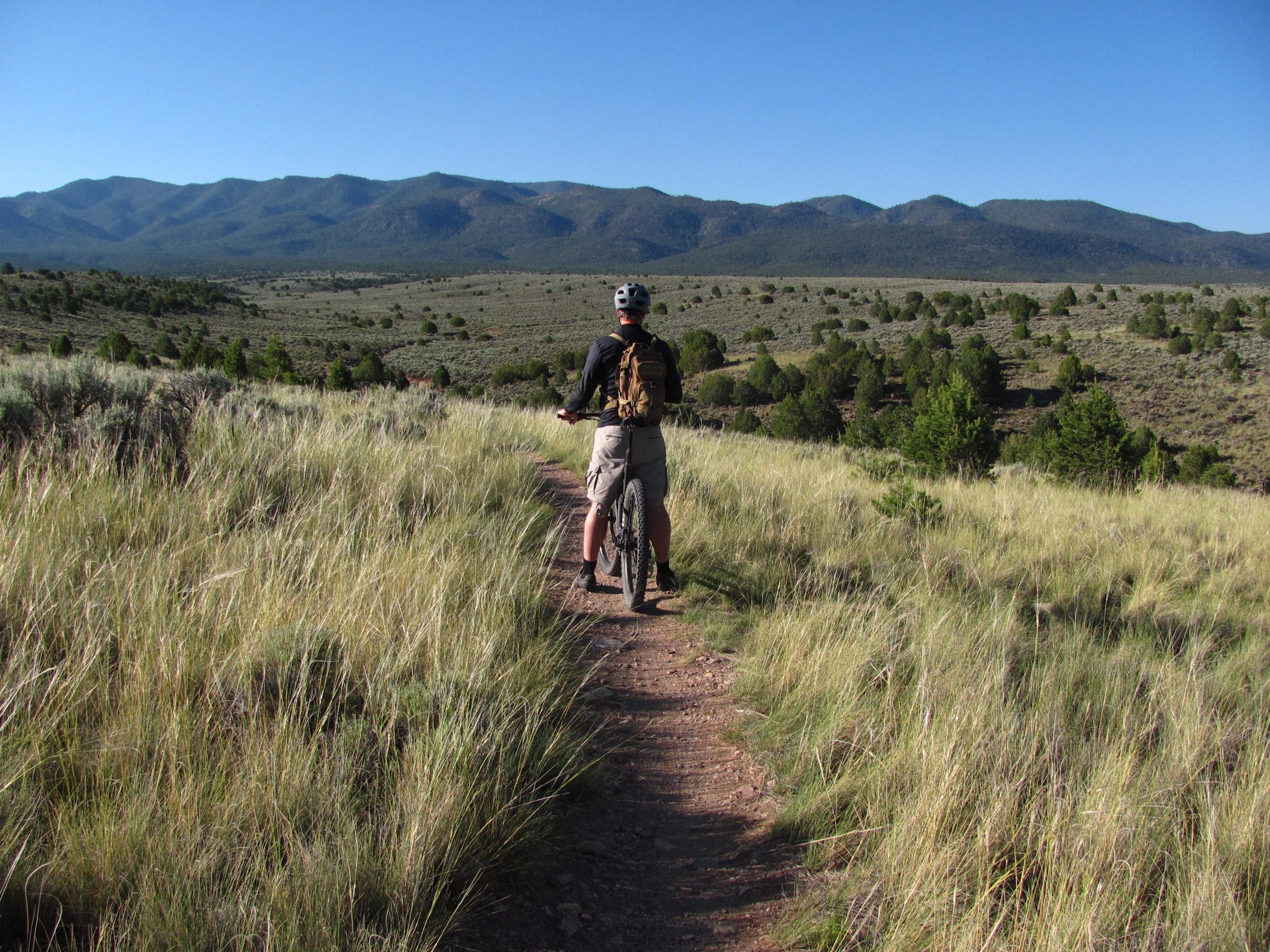 A mountain biker pauses on a dirt trail surrounded by tall grass, overlooking a scenic landscape of rolling hills and distant mountains under a clear blue sky. Taos Valley Overlook mountain bike trail.