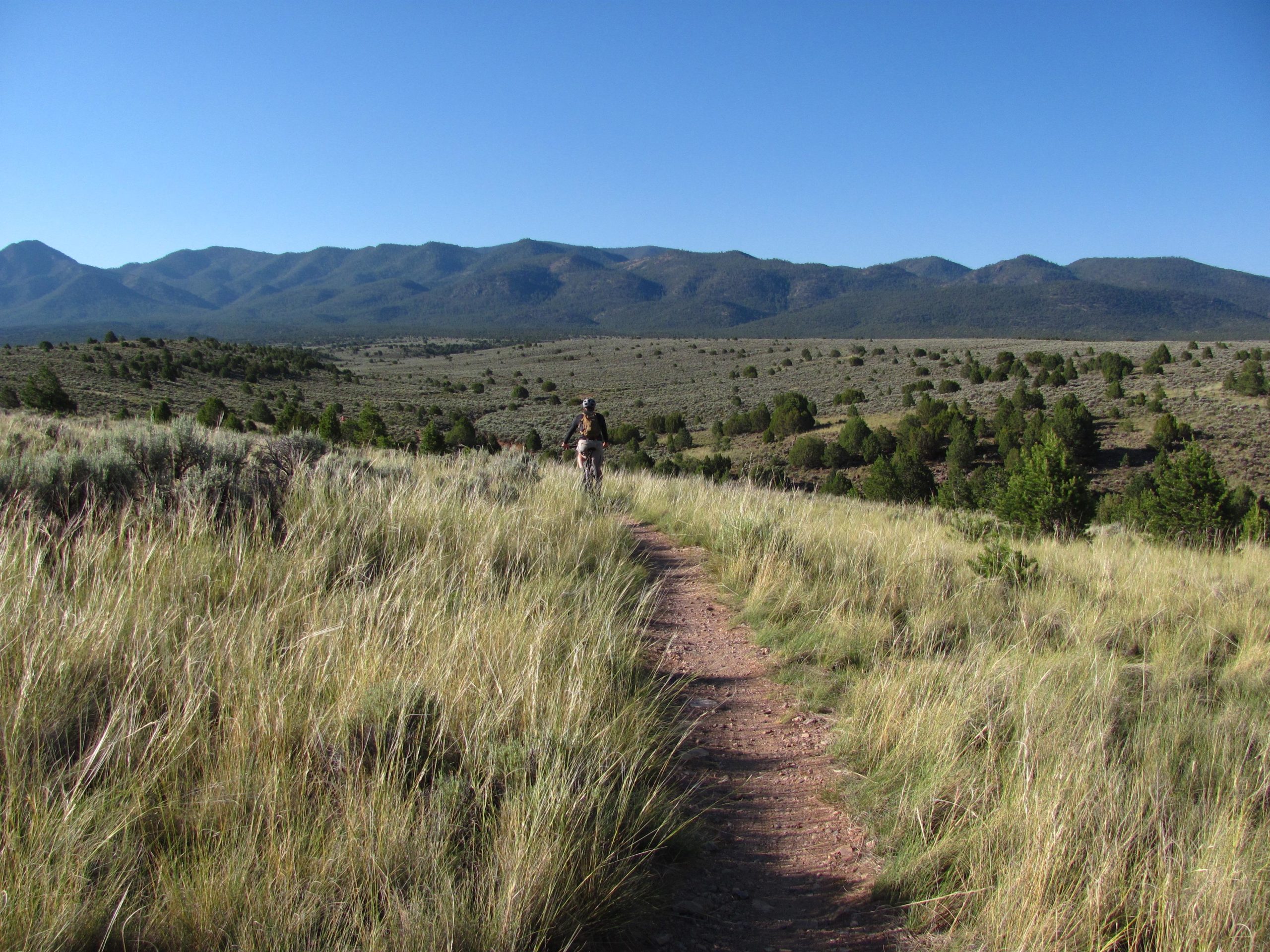 A person walking along a dirt trail surrounded by tall grass and shrubs, with rolling hills and mountains in the background under a clear blue sky. Taos Valley Overlook mountain bike trail.