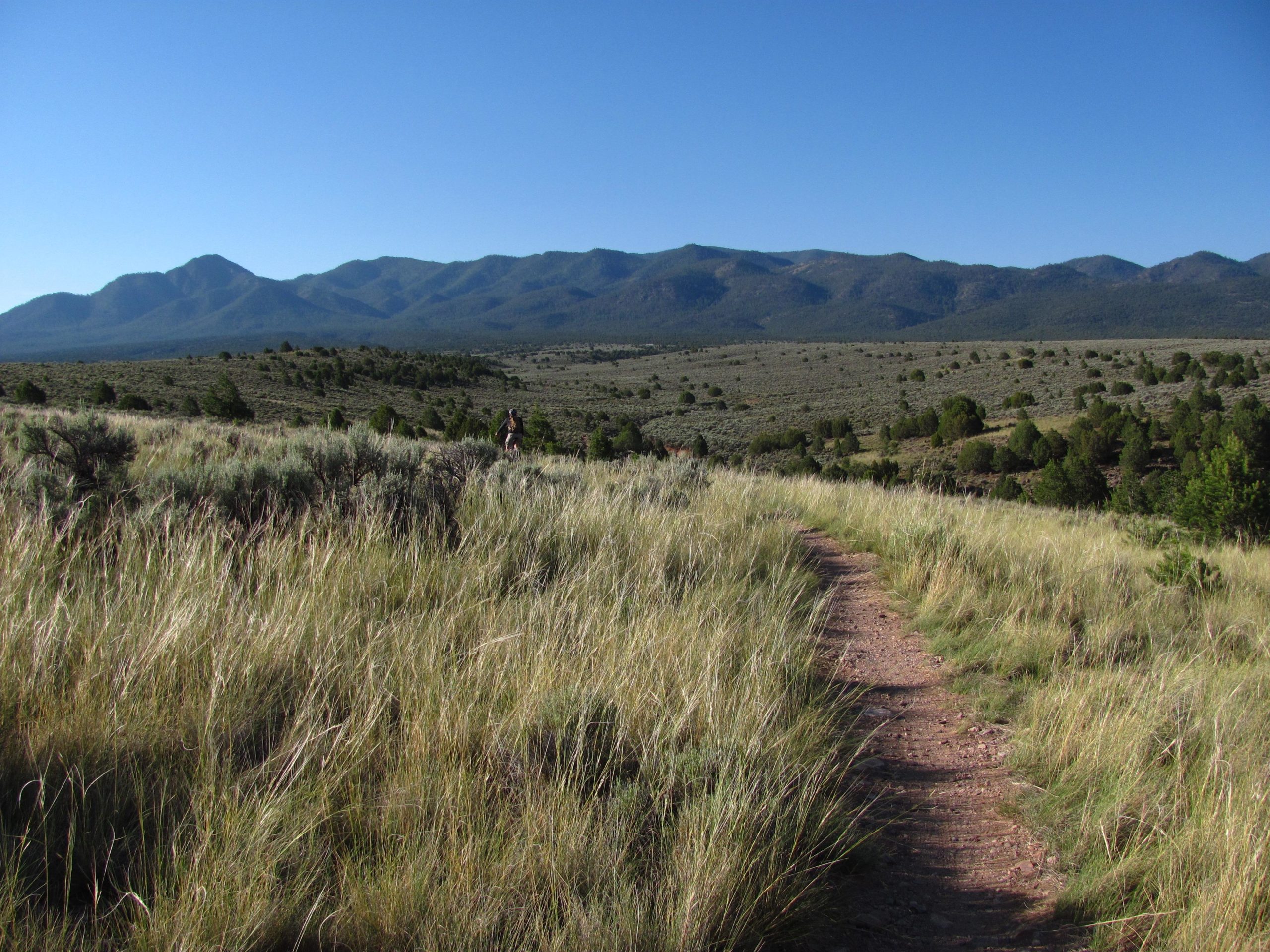 A winding dirt path surrounded by tall grass and shrubs leads into a vast landscape, with mountains in the background under a clear blue sky. Taos Valley Overlook mountain bike trail.