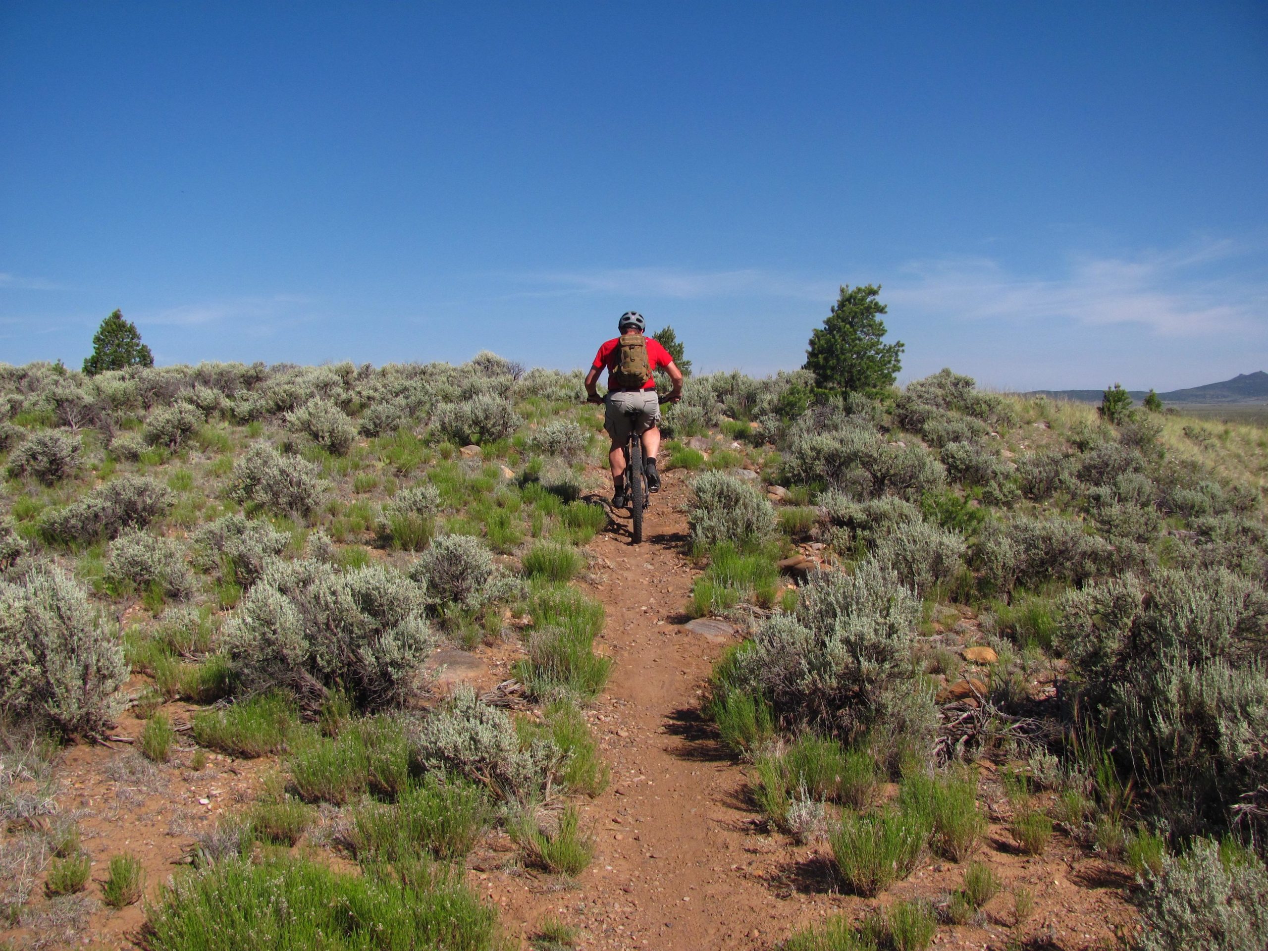 A mountain biker riding along a narrow dirt trail surrounded by low shrubbery and grass under a clear blue sky. The landscape features rolling hills in the background. Taos Valley Overlook mountain bike trail.