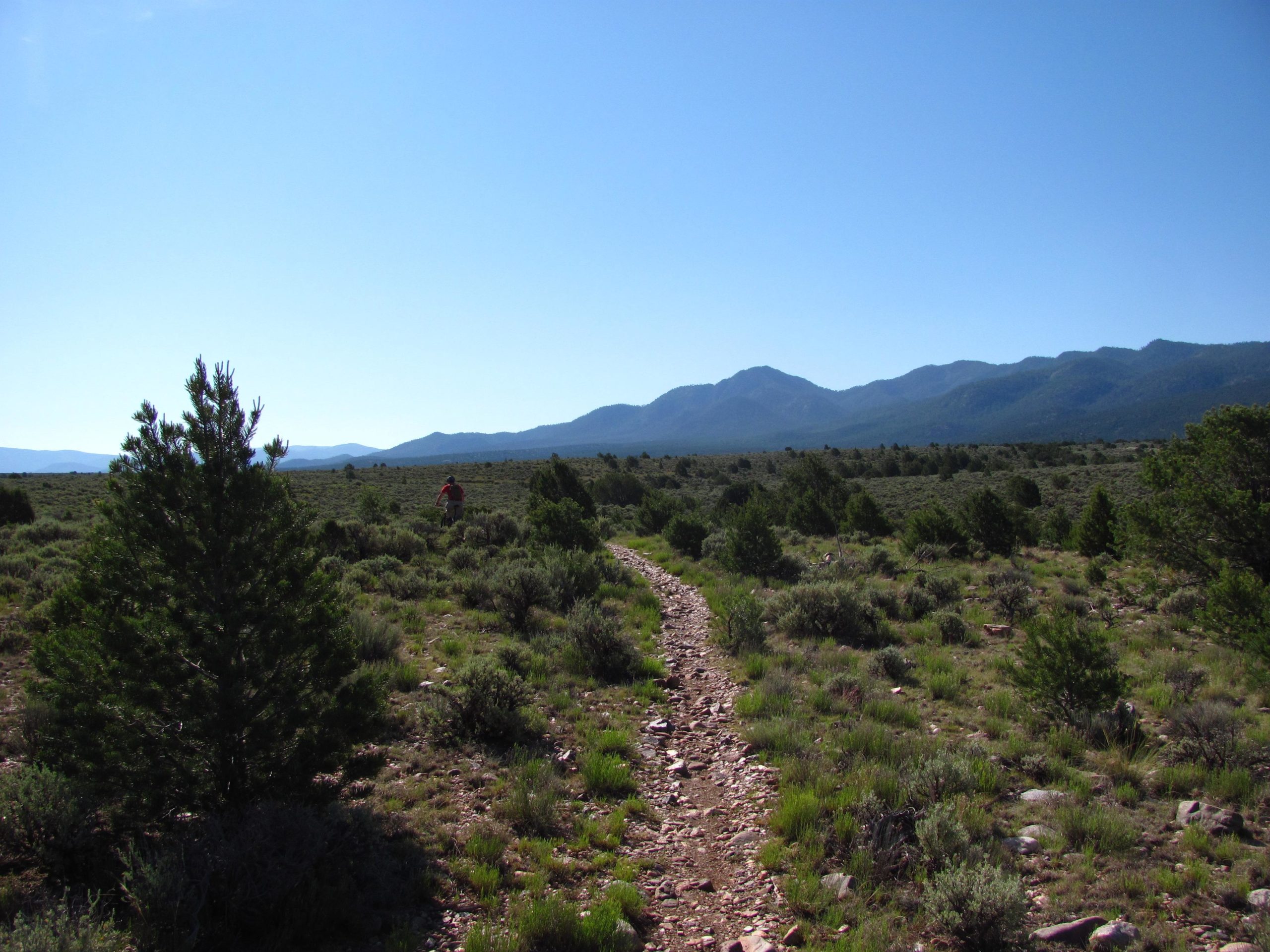 A winding dirt trail leads through a sagebrush landscape, bordered by low shrubs and small trees, with distant mountains under a clear blue sky. A lone hiker in an orange shirt can be seen in the background. Taos Valley Overlook mountain bike trail.