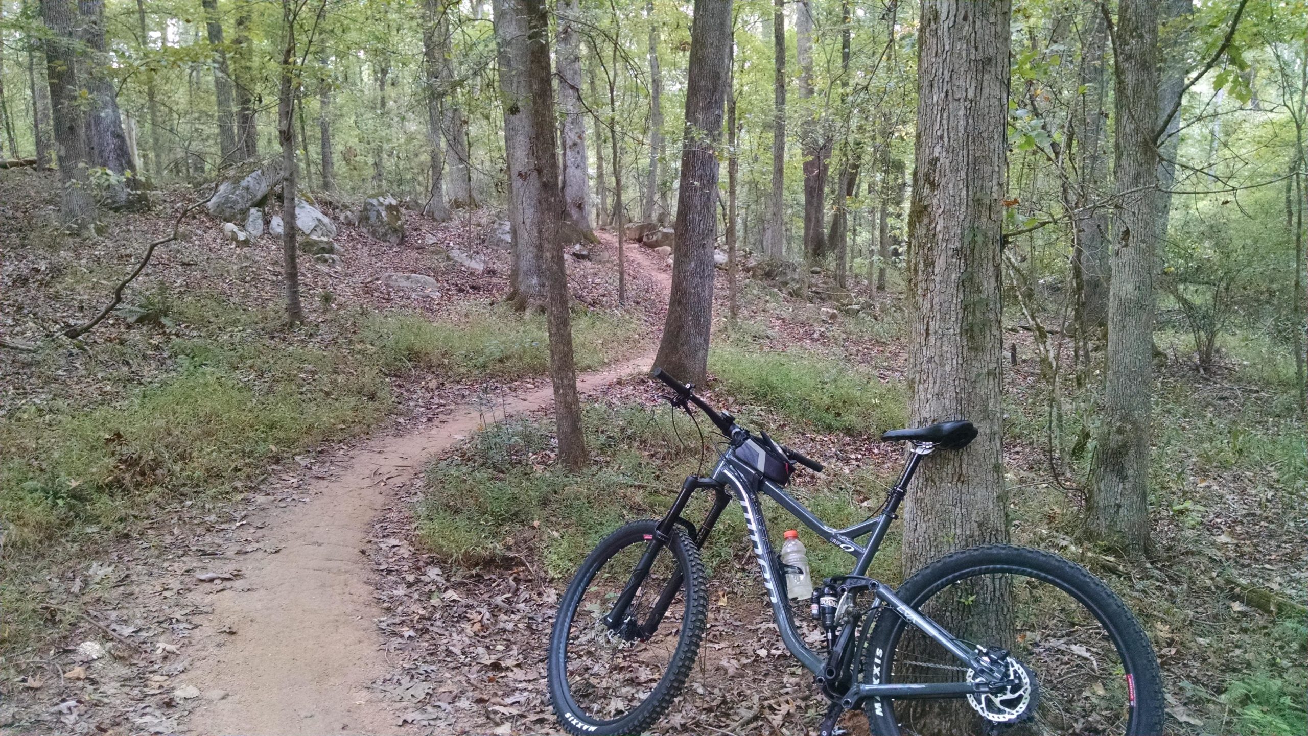 A mountain bike resting against a tree on a dirt path winding through a dense forest. The area is filled with green foliage, fallen leaves, and rocky outcroppings, creating a serene and adventurous outdoor setting. Harbison State Forest mountain bike trail.