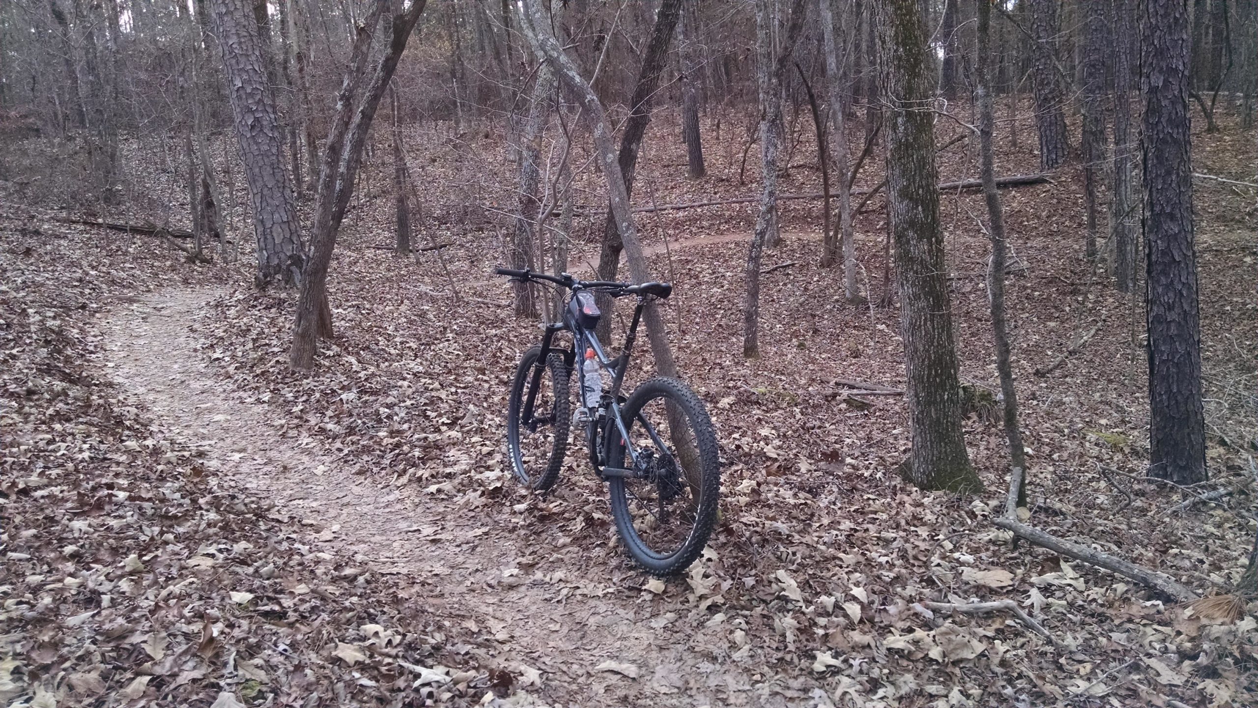 A mountain bike resting on a dirt trail surrounded by autumn leaves and trees in a forested area. The scene captures the tranquility of nature with a winding path leading deeper into the woods. Harbison State Forest mountain bike trail.
