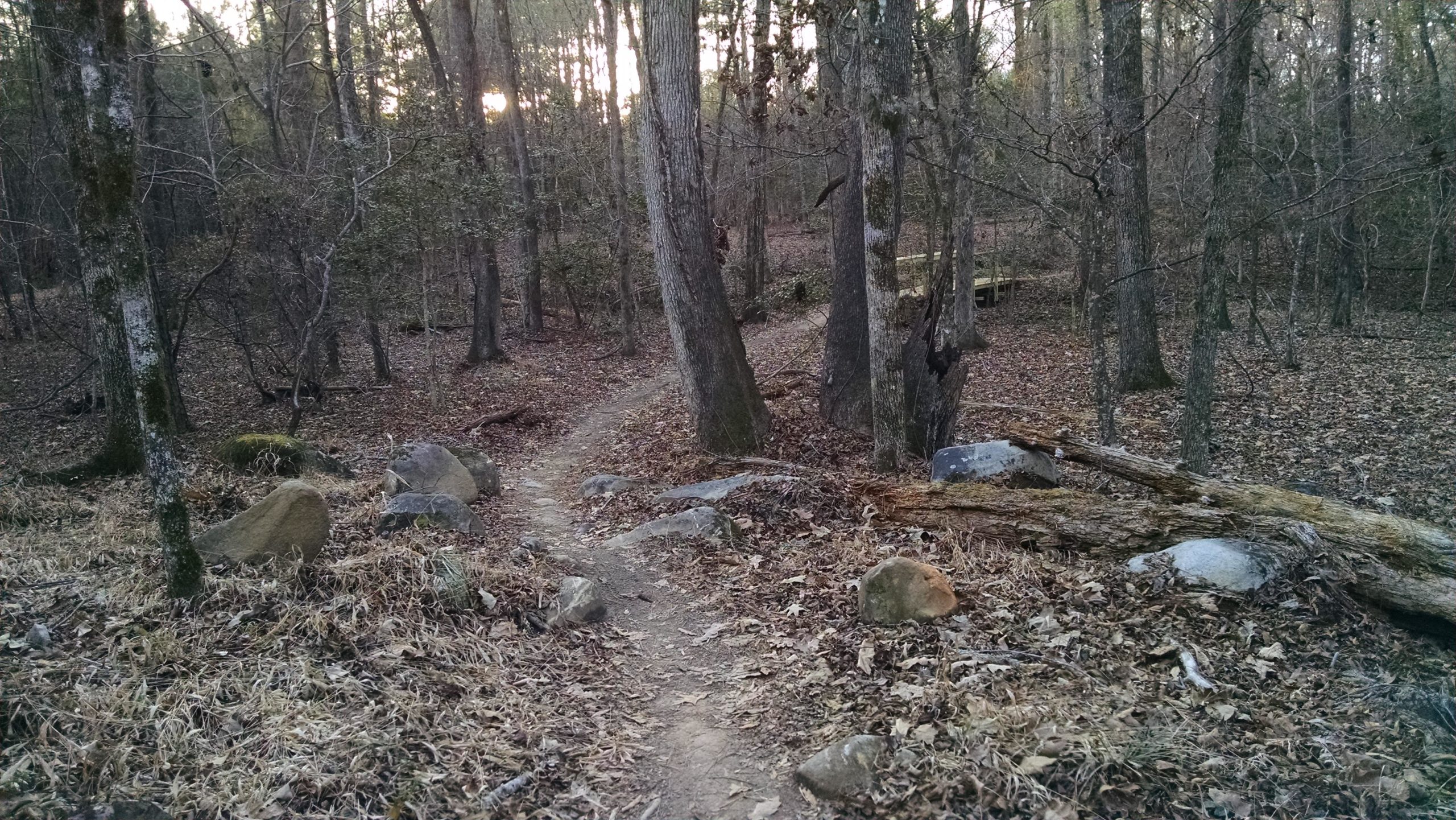 A dirt path winding through a wooded area with bare trees and scattered rocks, surrounded by dry leaves. The scene is illuminated by soft light, suggesting either dawn or dusk. A small wooden structure is partially visible in the background, blending into the natural landscape. Harbison State Forest mountain bike trail.
