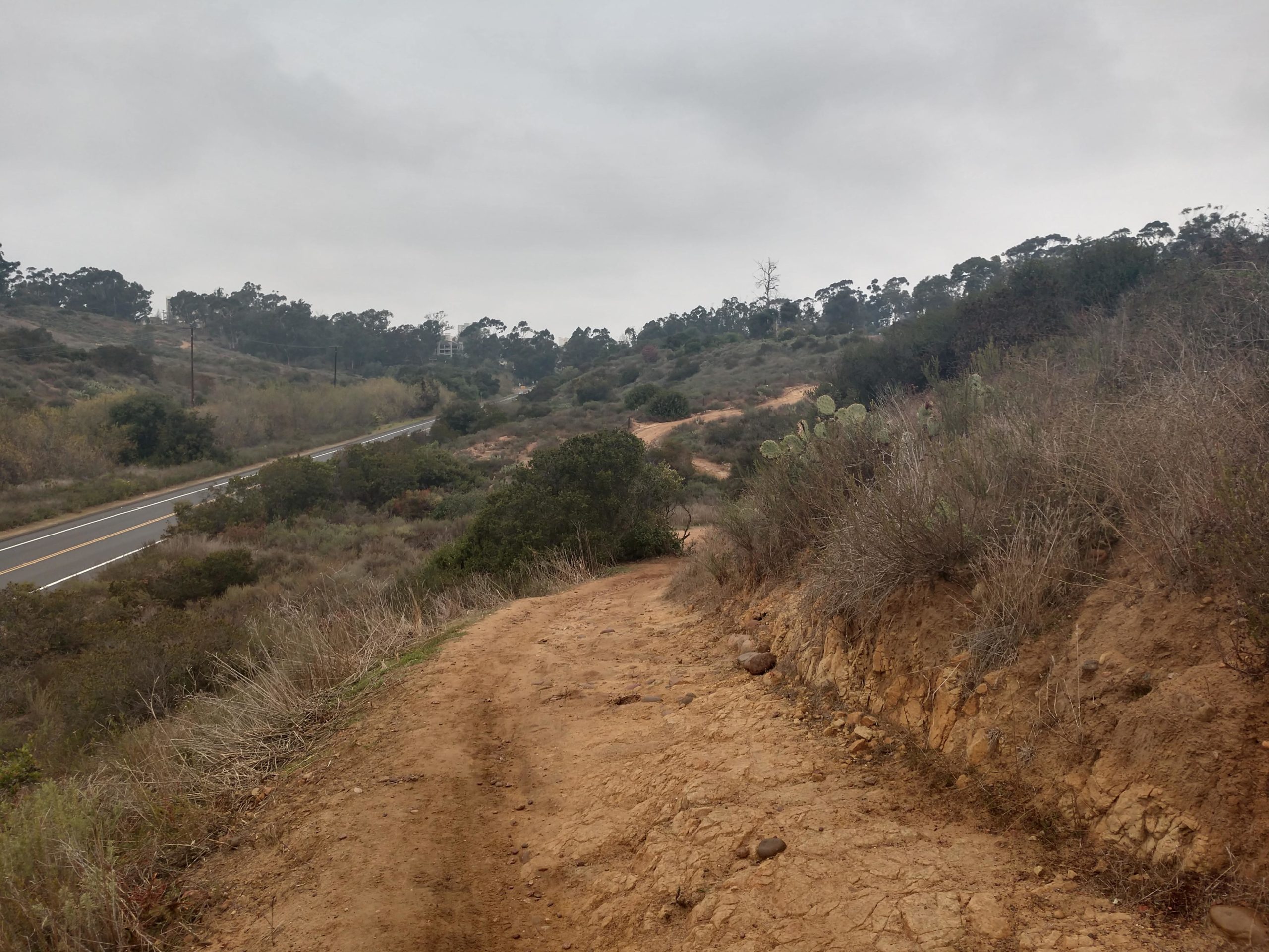 A winding dirt path leads towards a distant road, bordered by patches of greenery and dry brush under a cloudy sky. The scene features hills in the background with sparse vegetation, suggesting a natural landscape. Florida Canyon Trails mountain bike trail.