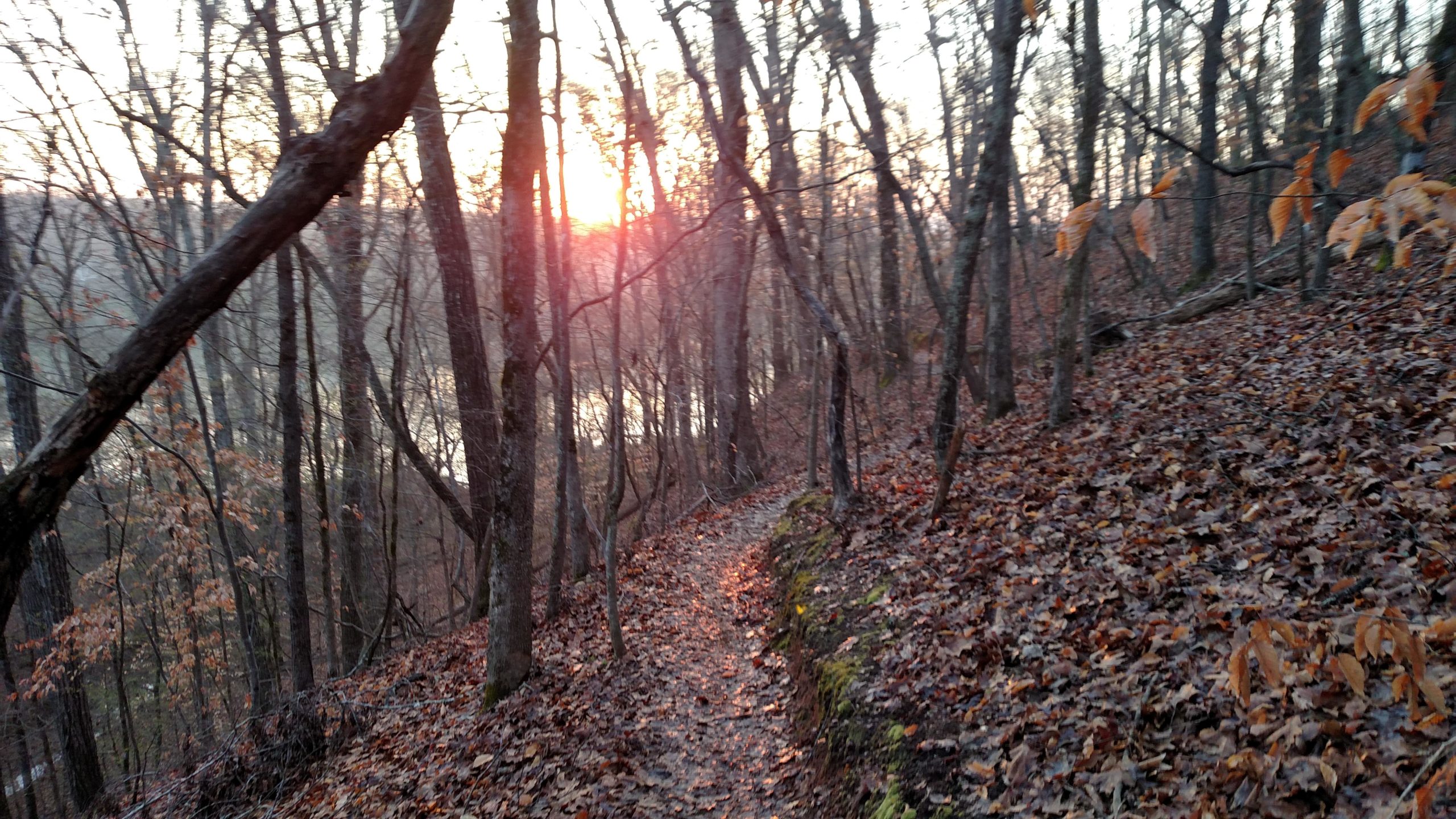 A winding dirt path through a wooded area, surrounded by bare trees and fallen leaves, with a sunset glowing in the background, reflecting off a body of water. Harbison State Forest mountain bike trail.