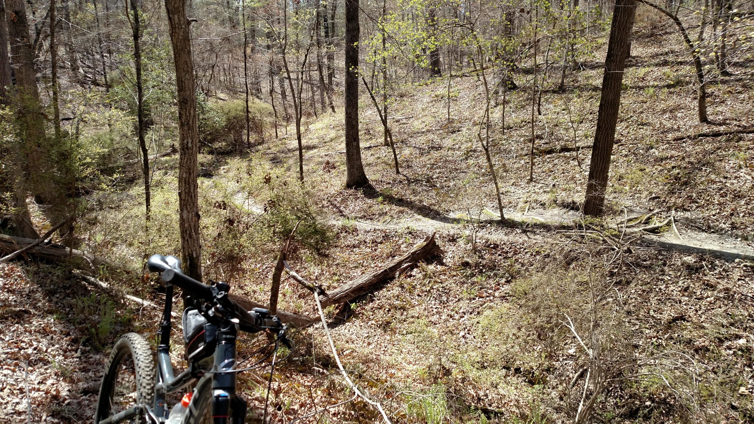A mountain bike is positioned at the edge of a winding dirt trail surrounded by a sparse forest of trees and underbrush, with light filtering through the foliage on a sunny day. Harbison State Forest mountain bike trail.