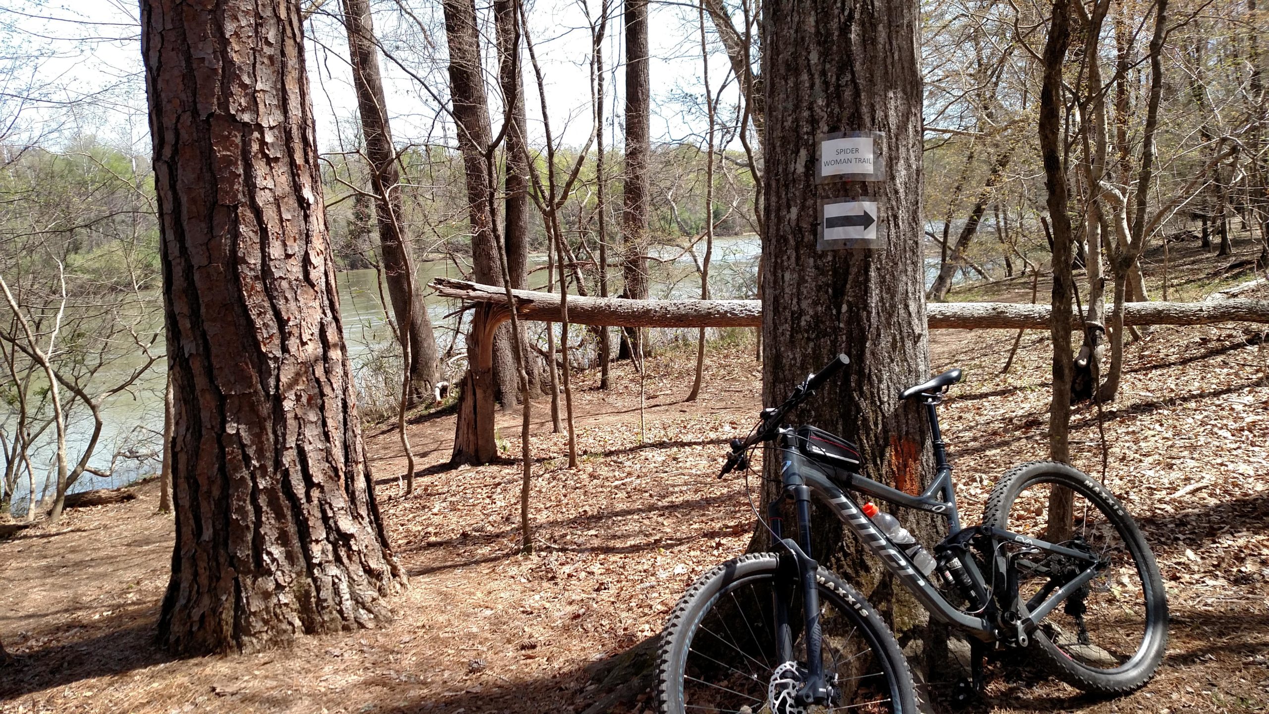 A mountain bike resting against a tree in a wooded area, with a river visible in the background. A sign reading "SPIDER WOMAN TRAIL" is attached to the tree, and the ground is covered with fallen leaves and branches. Harbison State Forest mountain bike trail.