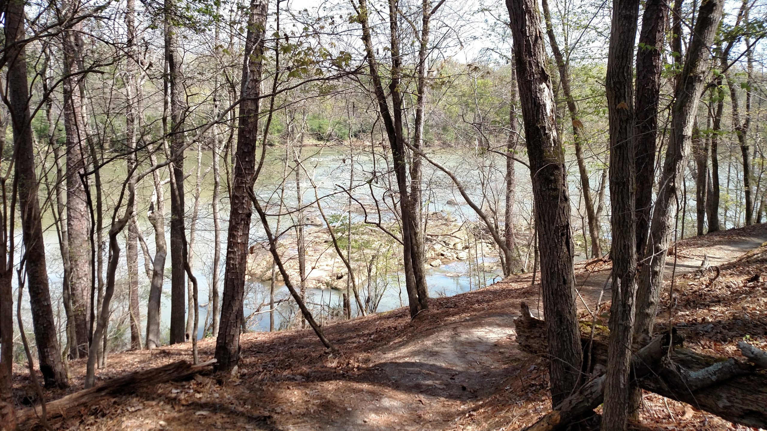 A serene wooded landscape featuring a narrow dirt path winding through bare trees with a view of a calm river and rocky shoreline in the background. The scene conveys a tranquil natural setting during early spring. Harbison State Forest mountain bike trail.