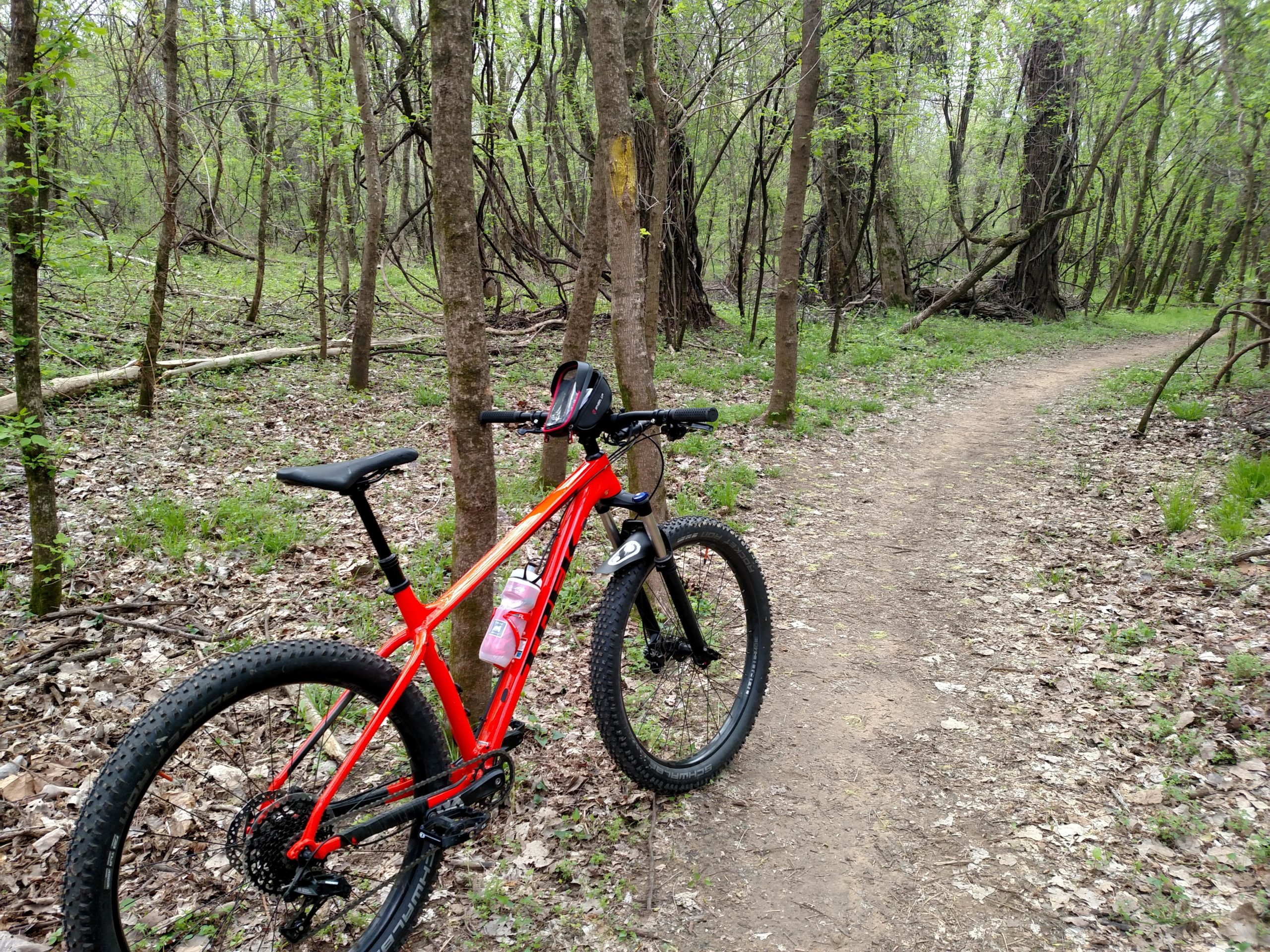 A bright red mountain bike is parked beside a winding dirt trail in a lush, green forest. Surrounding the bike are tall trees with budding leaves, and the ground is covered with fallen leaves and small patches of grass. The scene captures a tranquil moment in nature, ideal for outdoor adventure activities. Burns Park mountain bike trail.