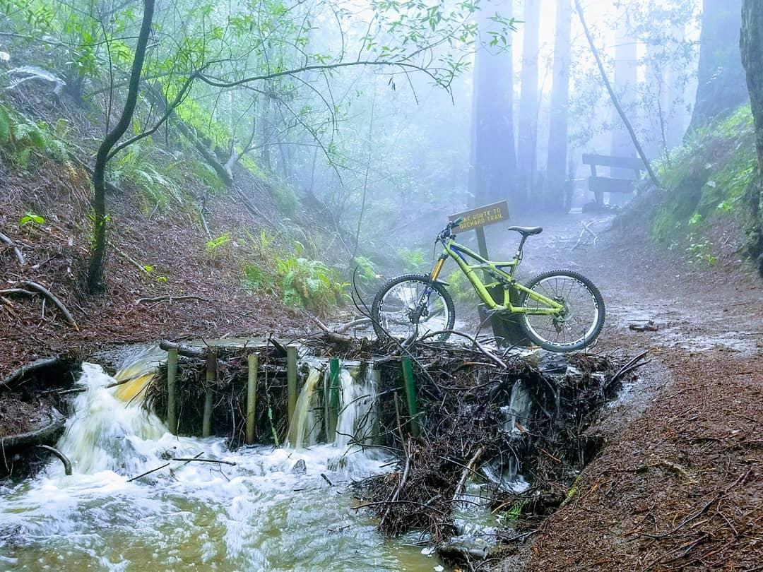 Specialized Enduro: A green mountain bike rests on a wooden bridge over a small stream in a foggy forest. The background features lush greenery and tall trees, with a sign indicating the trail direction. Water flows briskly beneath the bridge, creating a serene, nature-filled scene.