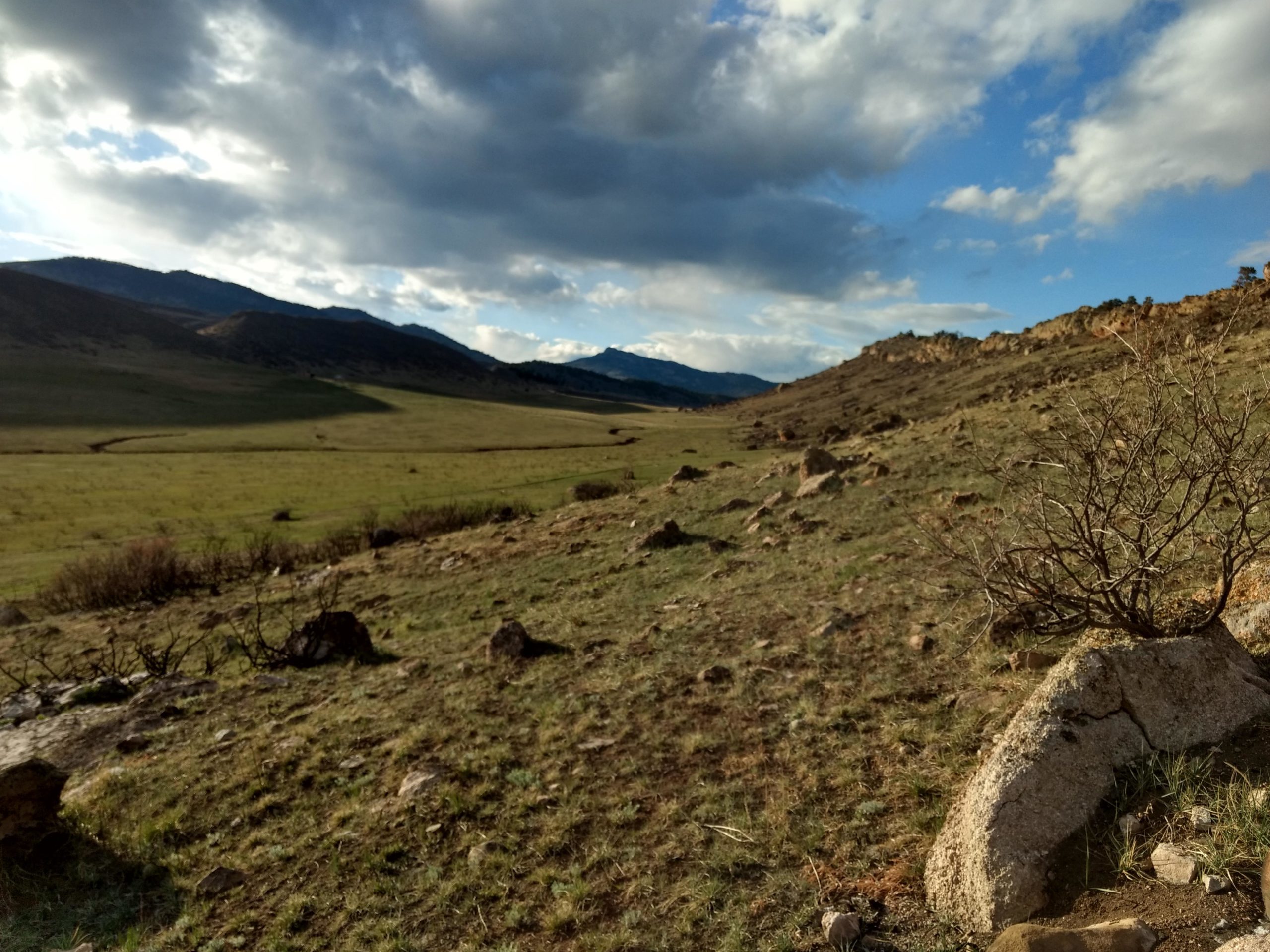 A scenic view of rolling hills and distant mountains under a partly cloudy sky, featuring a grassy landscape with scattered rocks and sparse vegetation in the foreground. Coyote Ridge mountain bike trail.