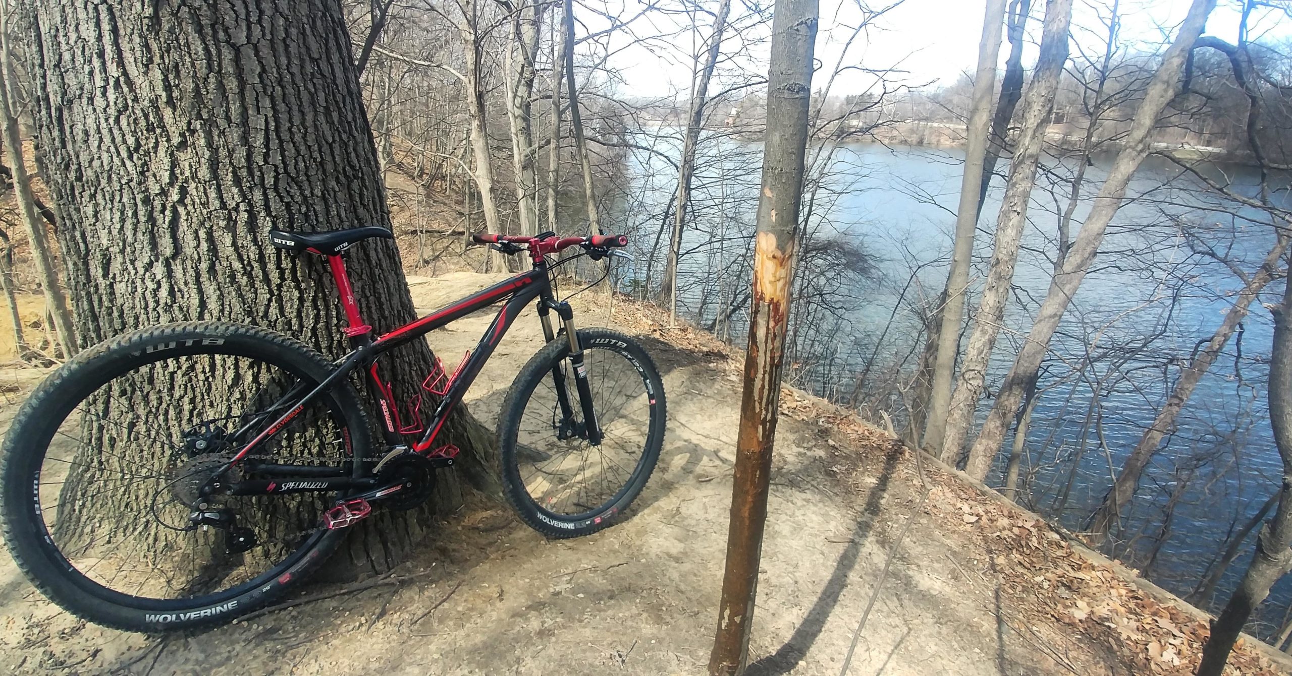 A black and red mountain bike parked against a large tree near a calm river, surrounded by bare trees. The ground is dirt with scattered leaves, and the bike's front wheel is slightly elevated, casting a shadow on the ground. The sky is clear, indicating a sunny day. Hines Park Trail mountain bike trail.