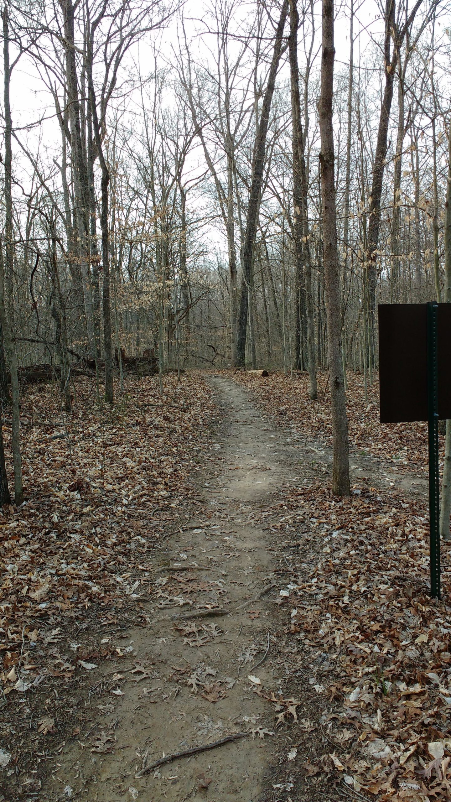 A dirt path winding through a wooded area with bare trees and fallen leaves, leading into the distance. A blank brown sign is visible on the right side of the image. The scene appears tranquil and natural, indicating a hiking or nature trail. Big Hollow Trail mountain bike trail.