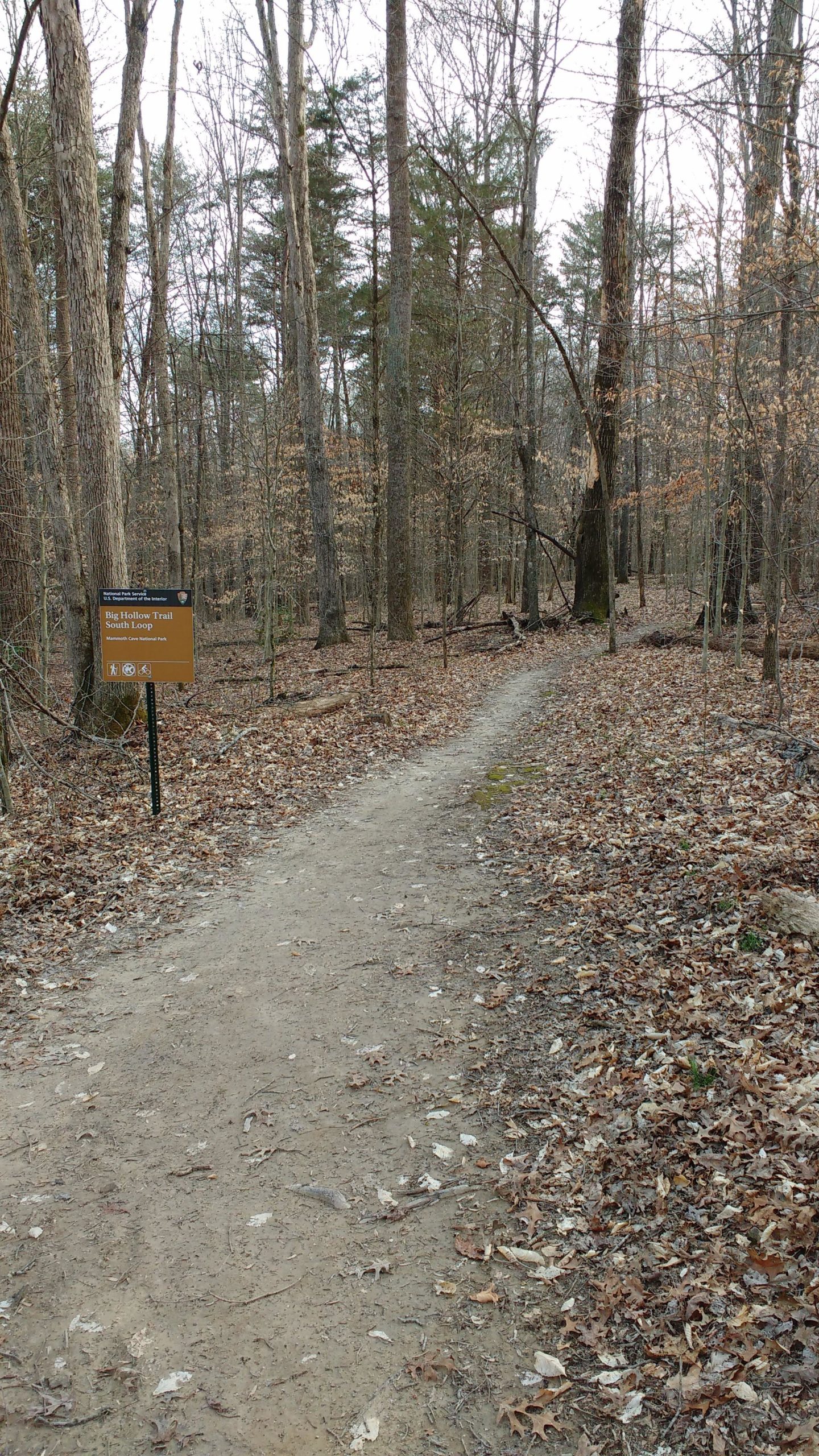 A dirt trail winding through a wooded area, with trees on either side and a sign indicating the "Big Hollow Trail South Loop." The ground is covered with scattered leaves and the surrounding trees are bare, suggesting a late winter or early spring setting. Big Hollow Trail mountain bike trail.