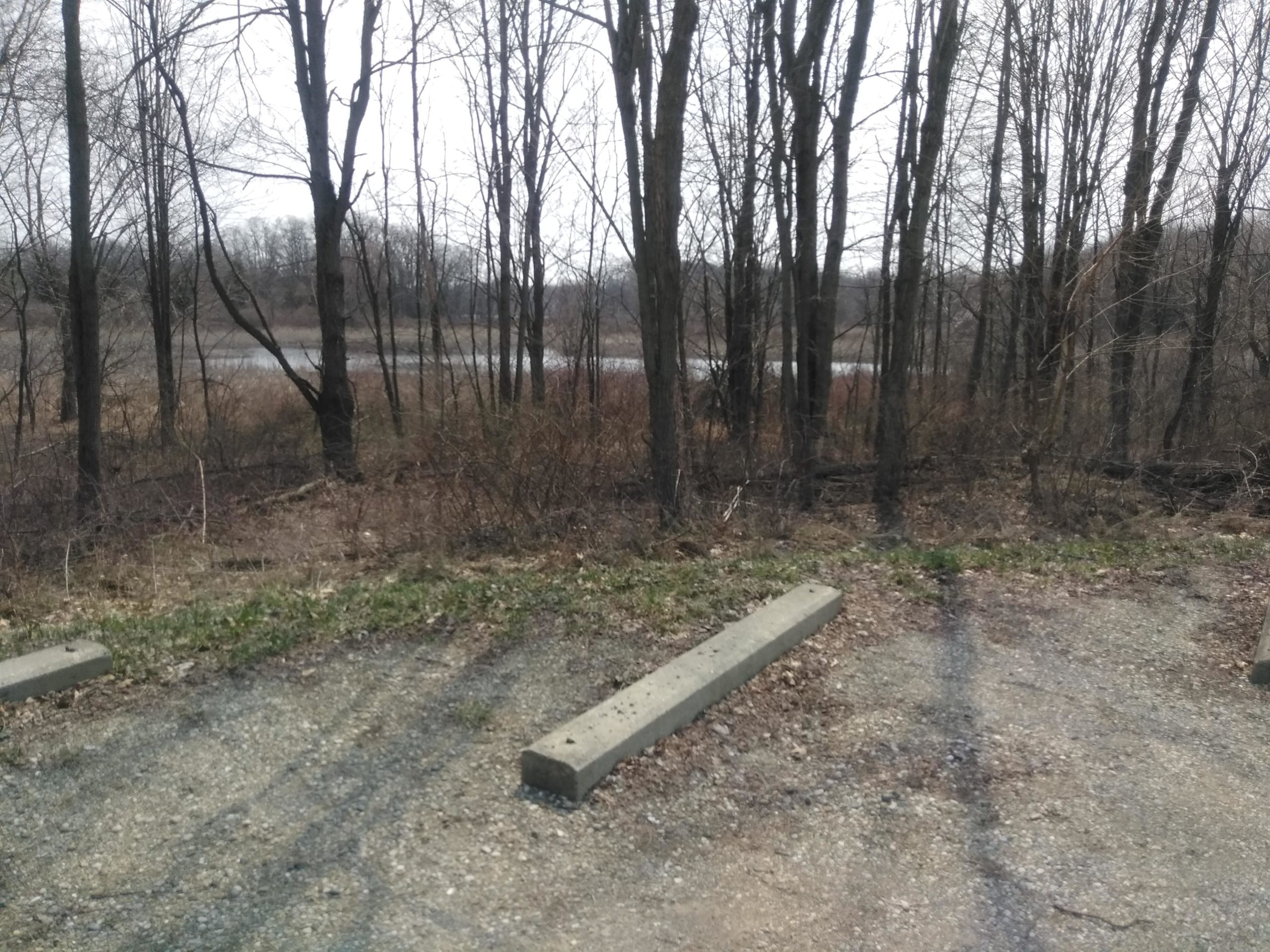 A view of a wooded area with bare trees and shrubs beside a calm body of water. In the foreground, there are gravel and concrete barriers, suggesting a parking area. The scene is tranquil with overcast skies, indicating a cool, still day. DTE Energy Foundation Trail mountain bike trail.
